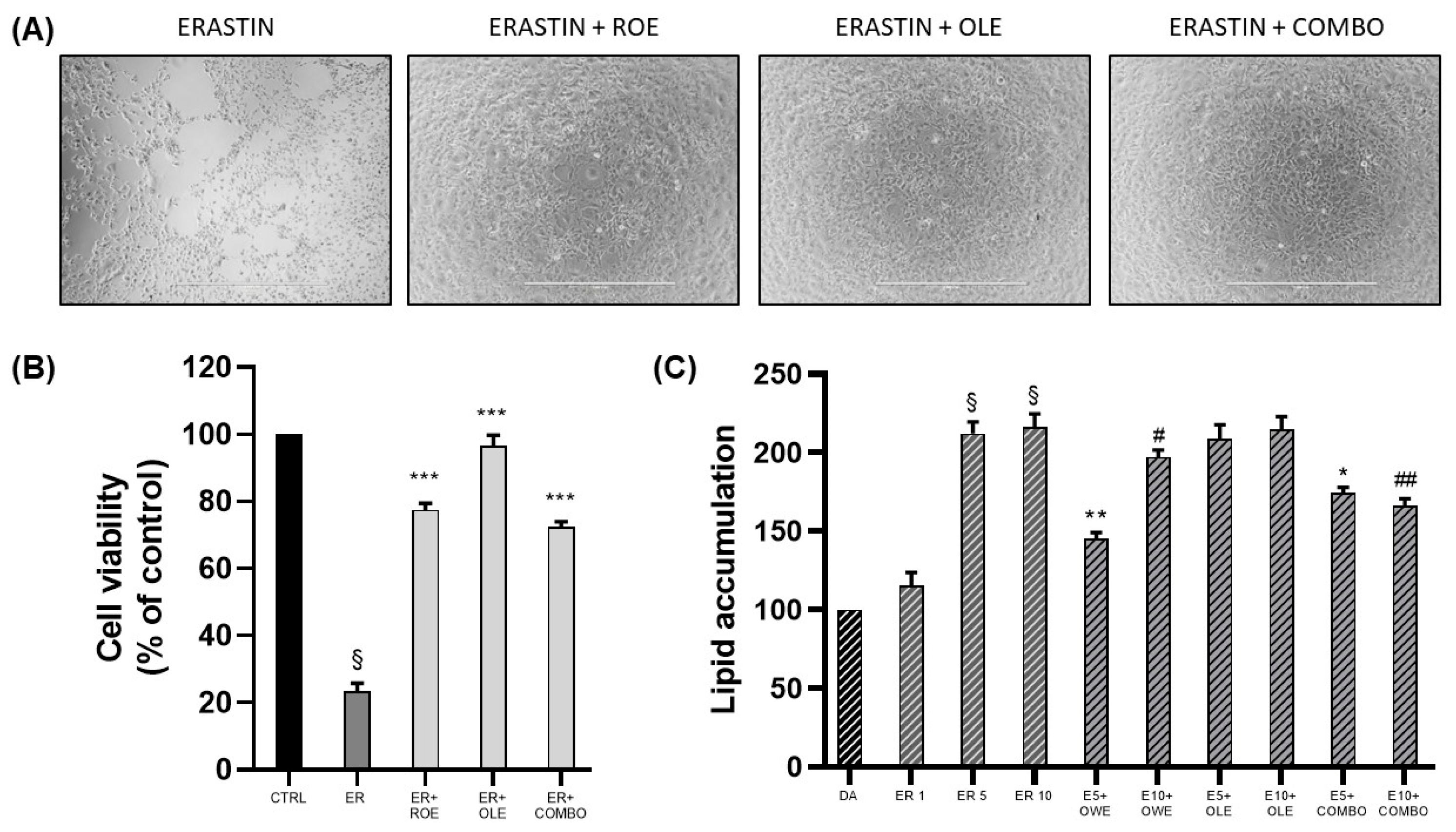 Nutrients 16 01959 g005