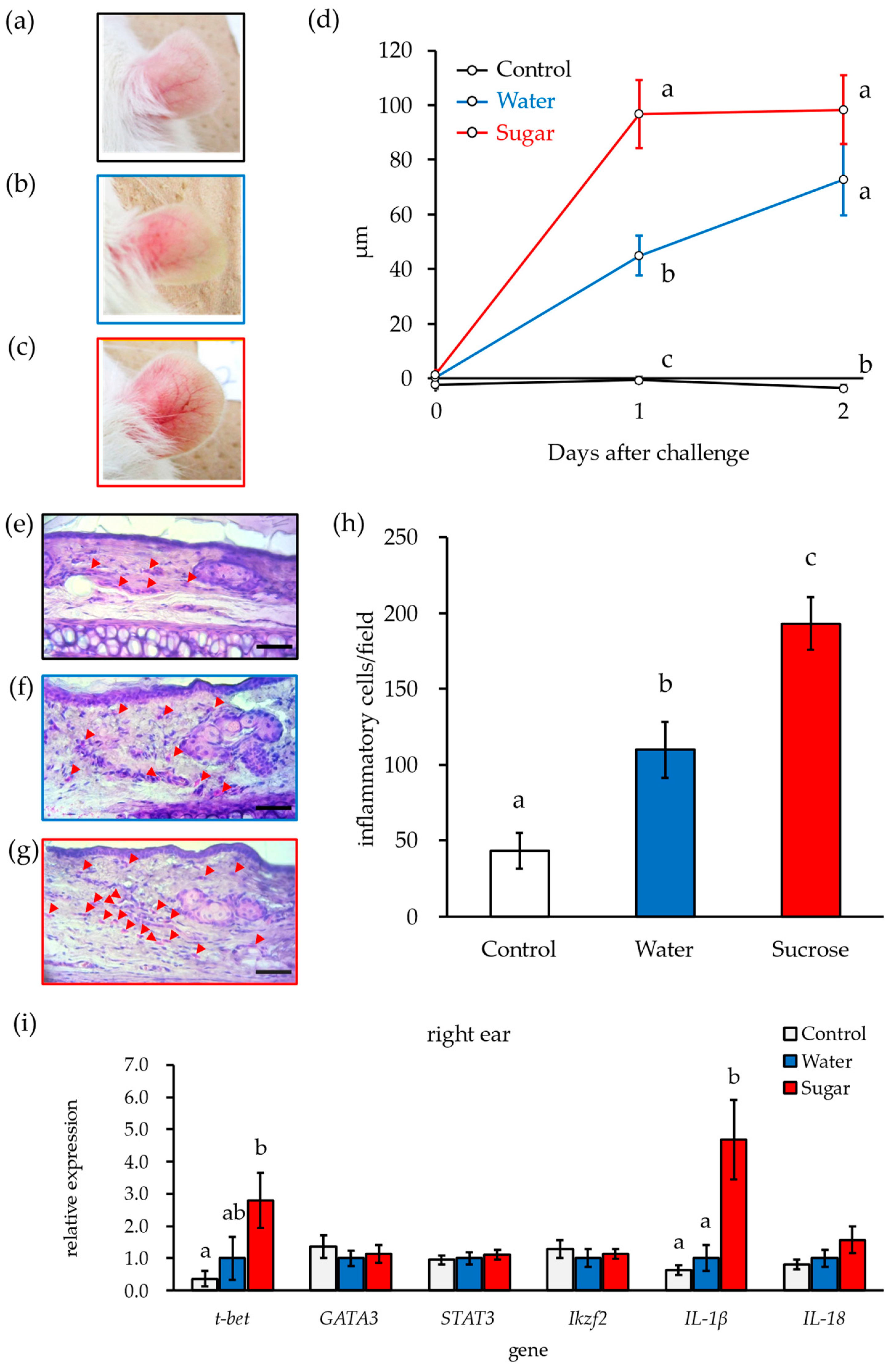 Nutrients 16 01962 g001
