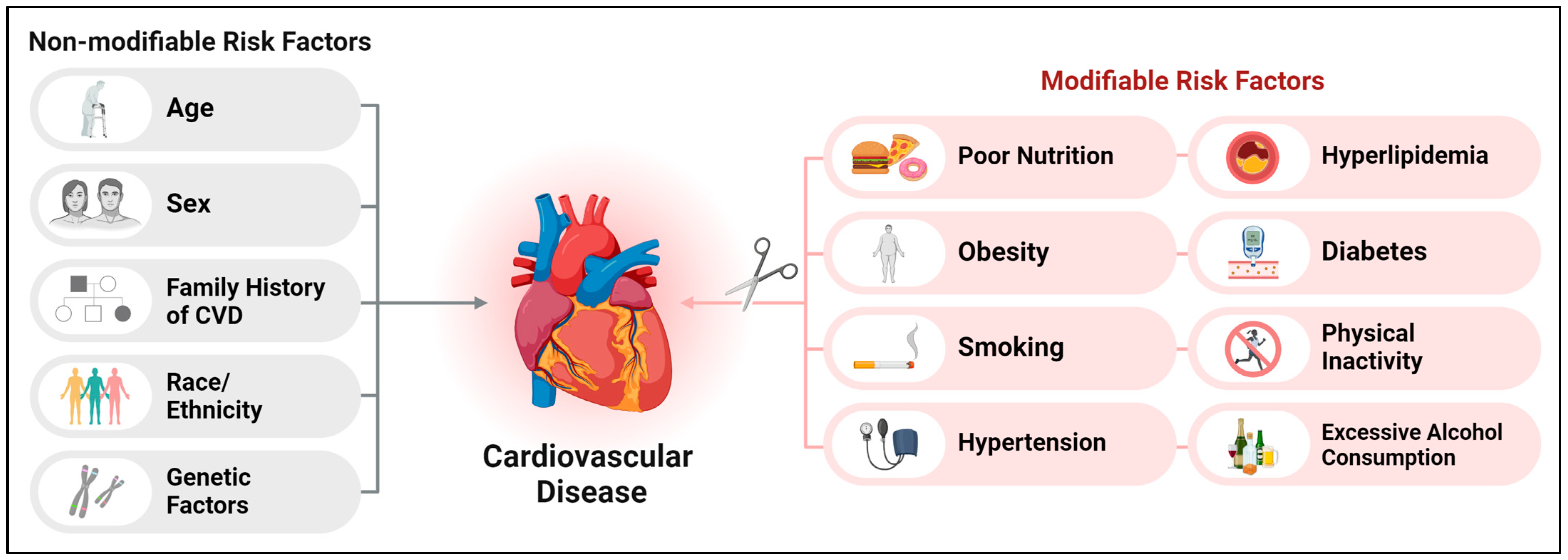 Nutrients 16 01964 g001