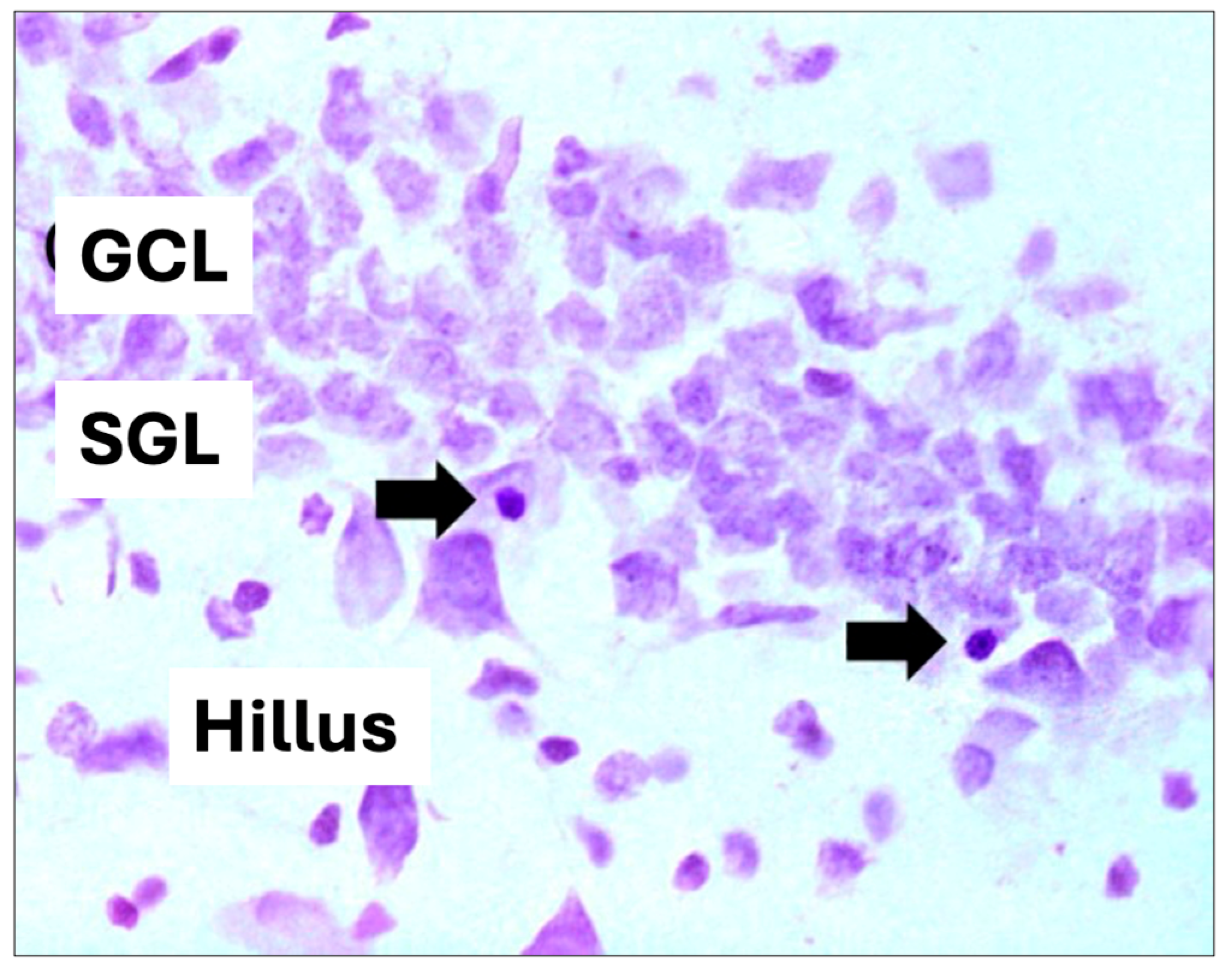 Nutrients 16 01973 g003