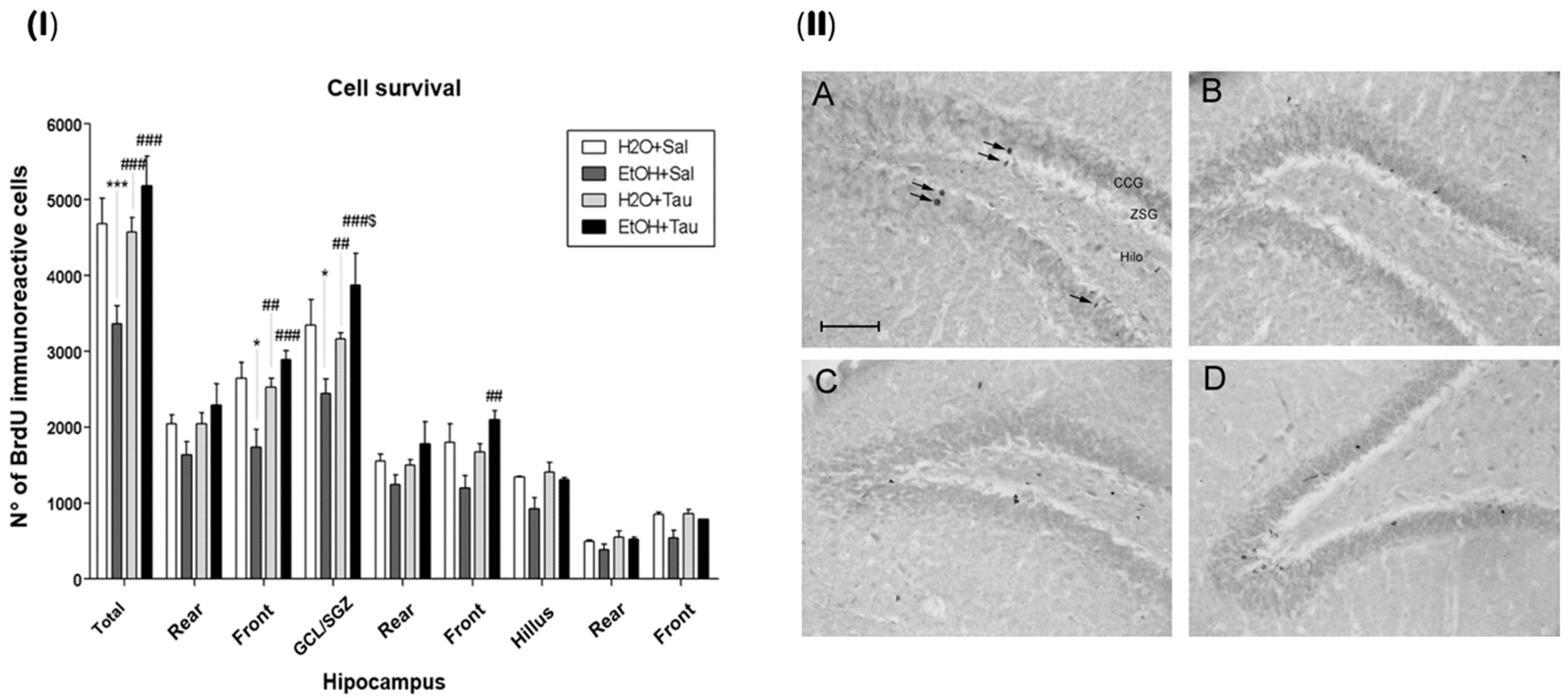Nutrients 16 01973 g006