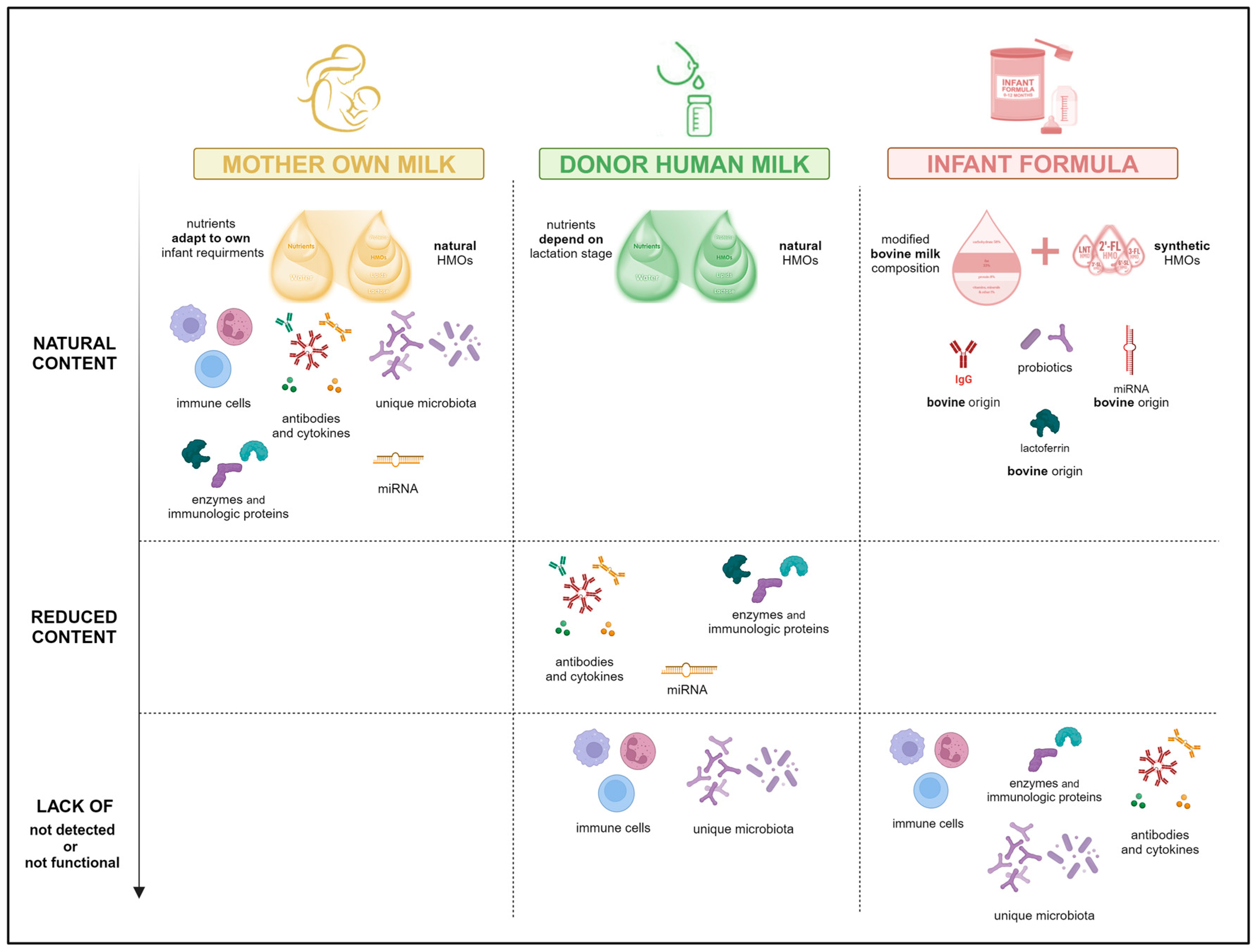 Nutrients 16 01976 g001 Nutrients 16 01976 g001