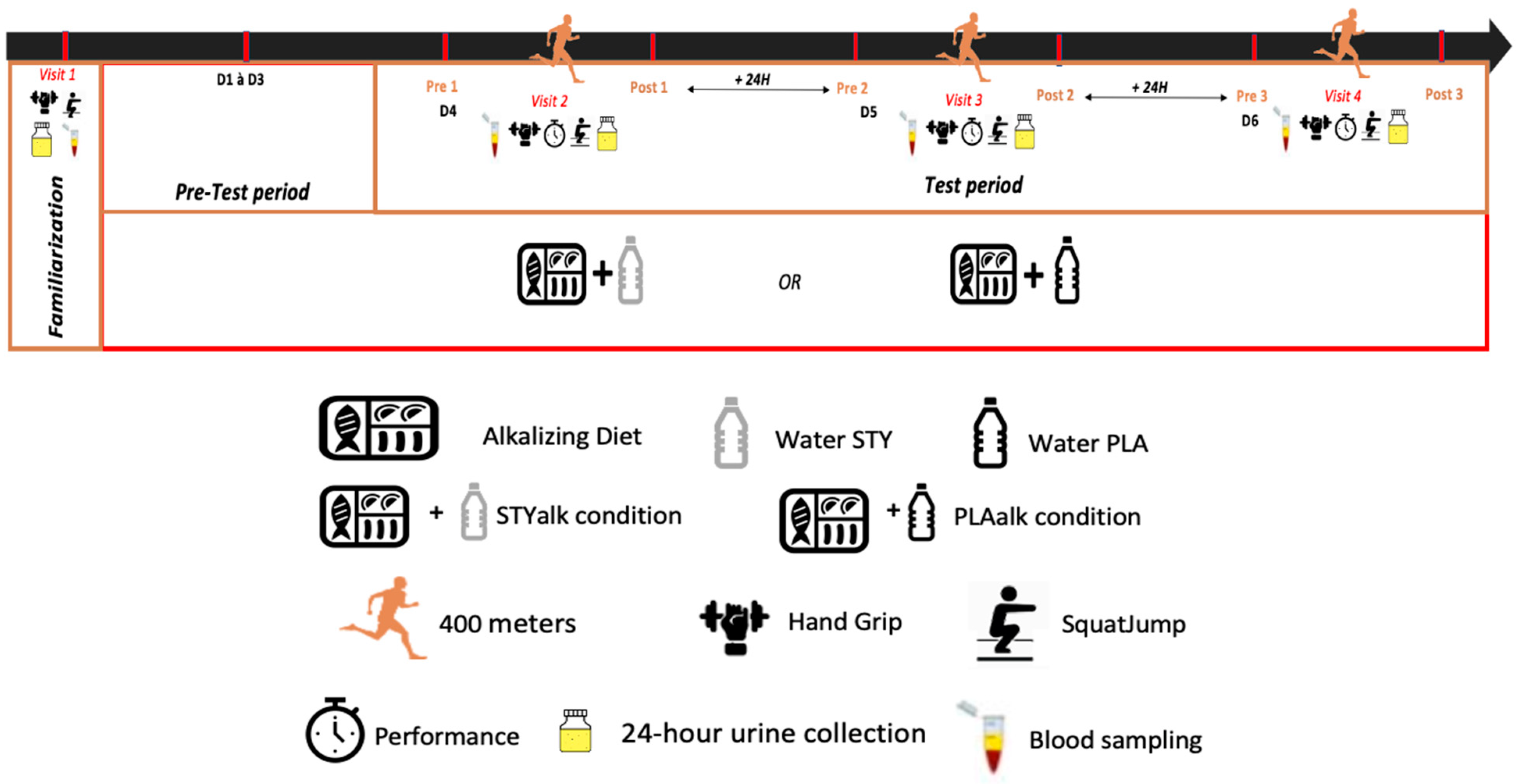 Nutrients 16 01987 g001 Nutrients 16 01987 g001
