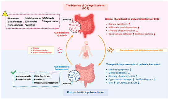 Effectiveness of Psychobiotic Bifidobacterium breve BB05 in