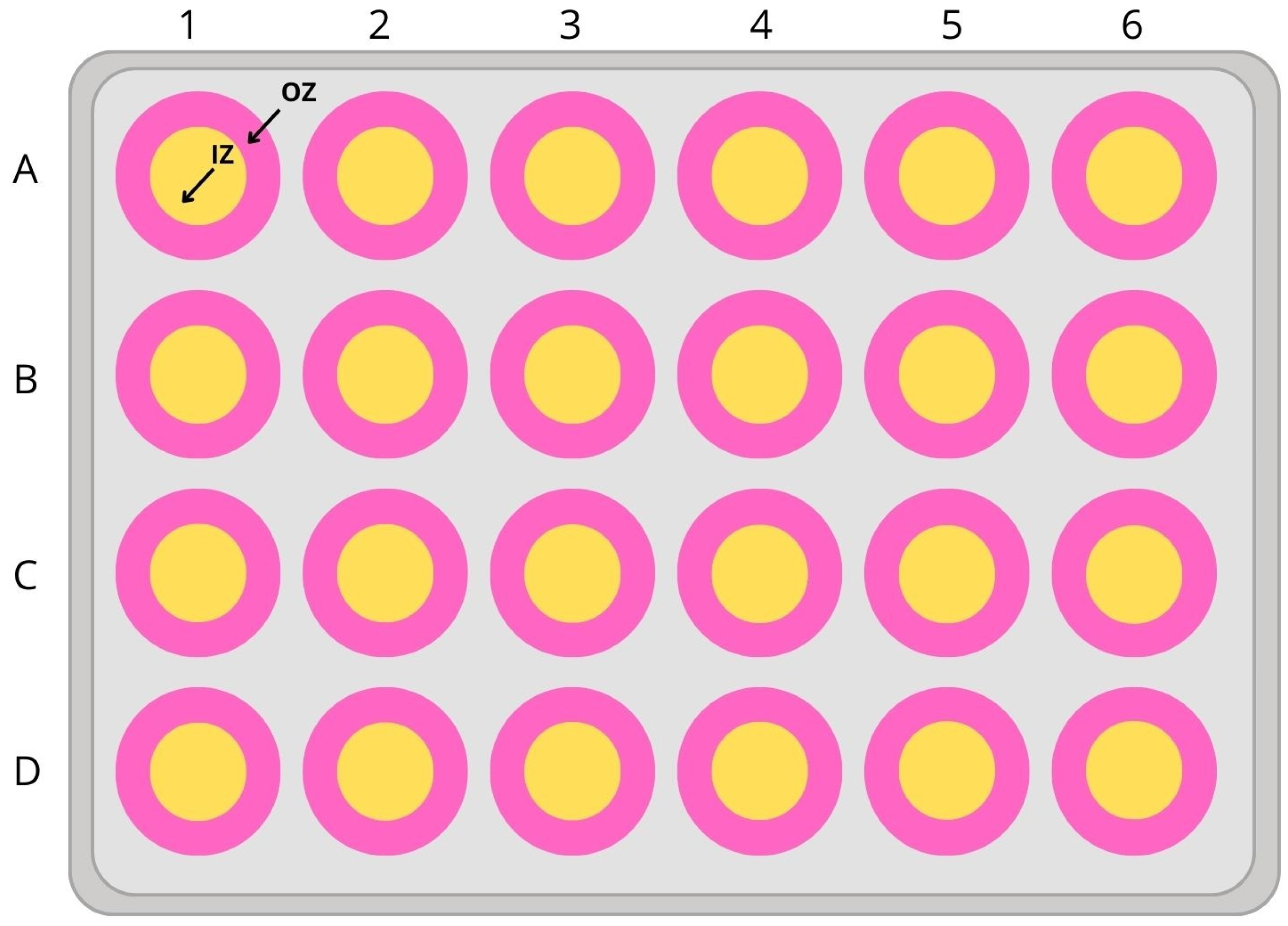 Nutrients 16 01997 g002