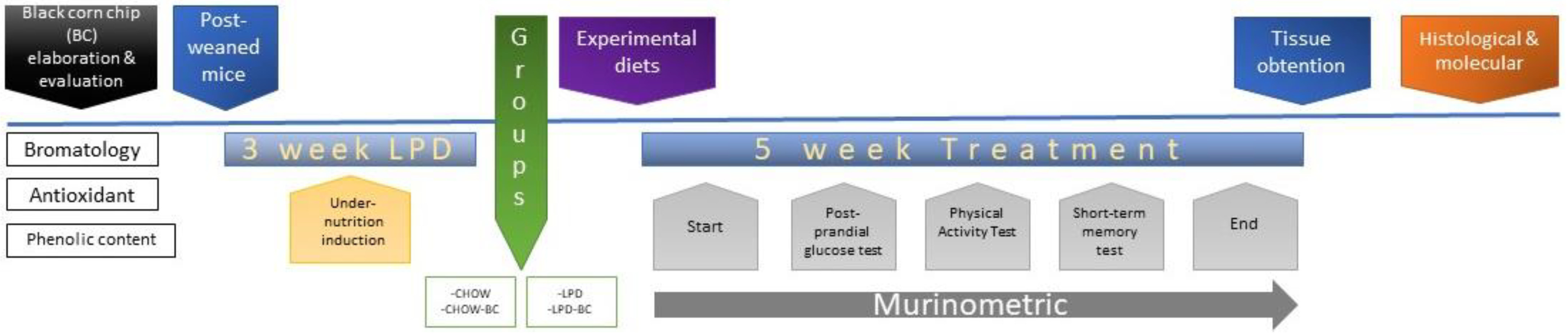 Nutrients 16 02001 g001 Nutrients 16 02001 g001