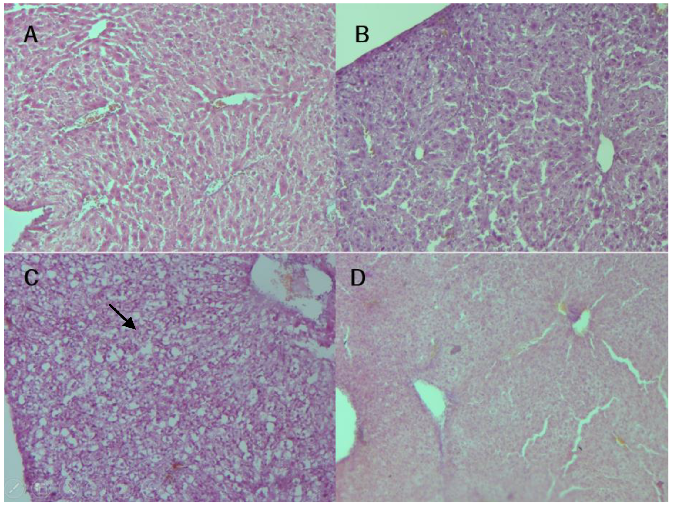 Nutrients 16 02001 g008a Nutrients 16 02001 g008a