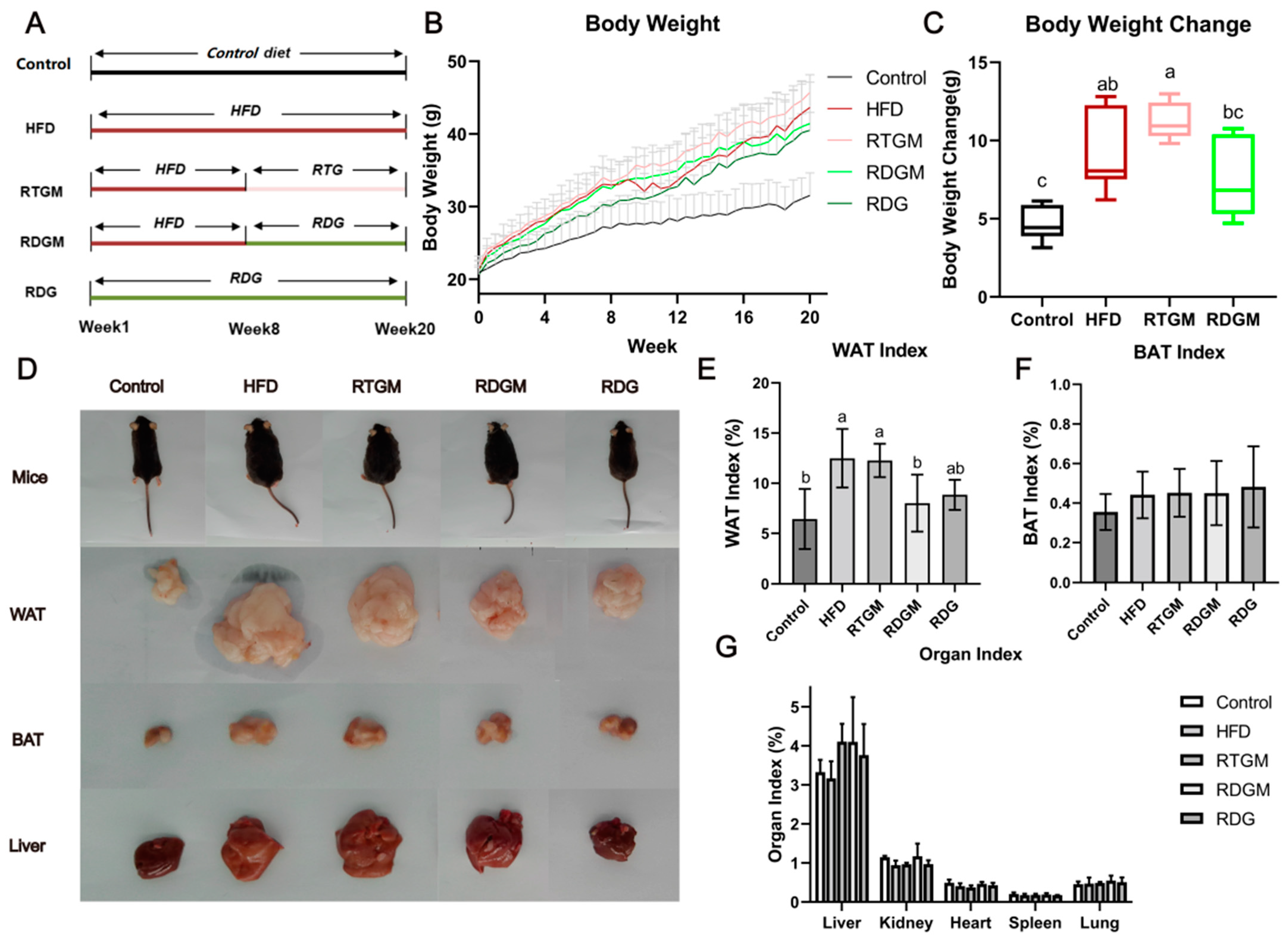 Nutrients 16 02003 g001