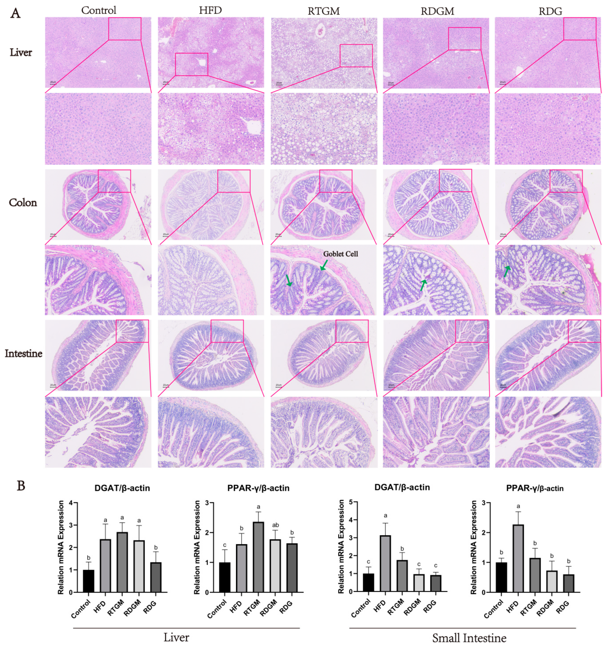 Nutrients 16 02003 g004