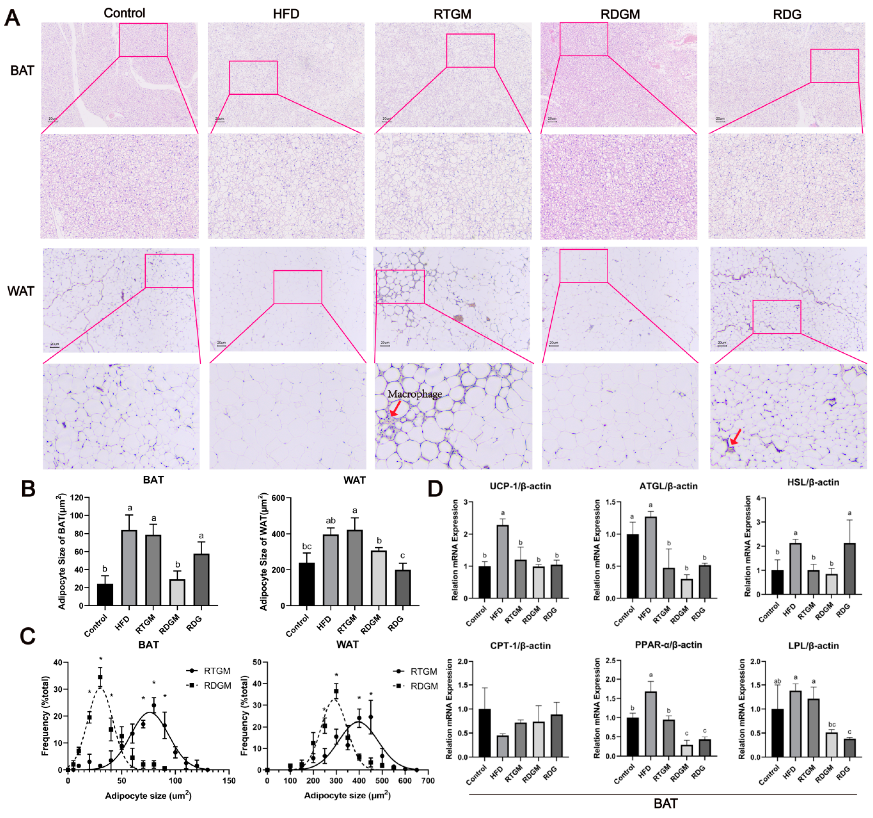 Nutrients 16 02003 g005