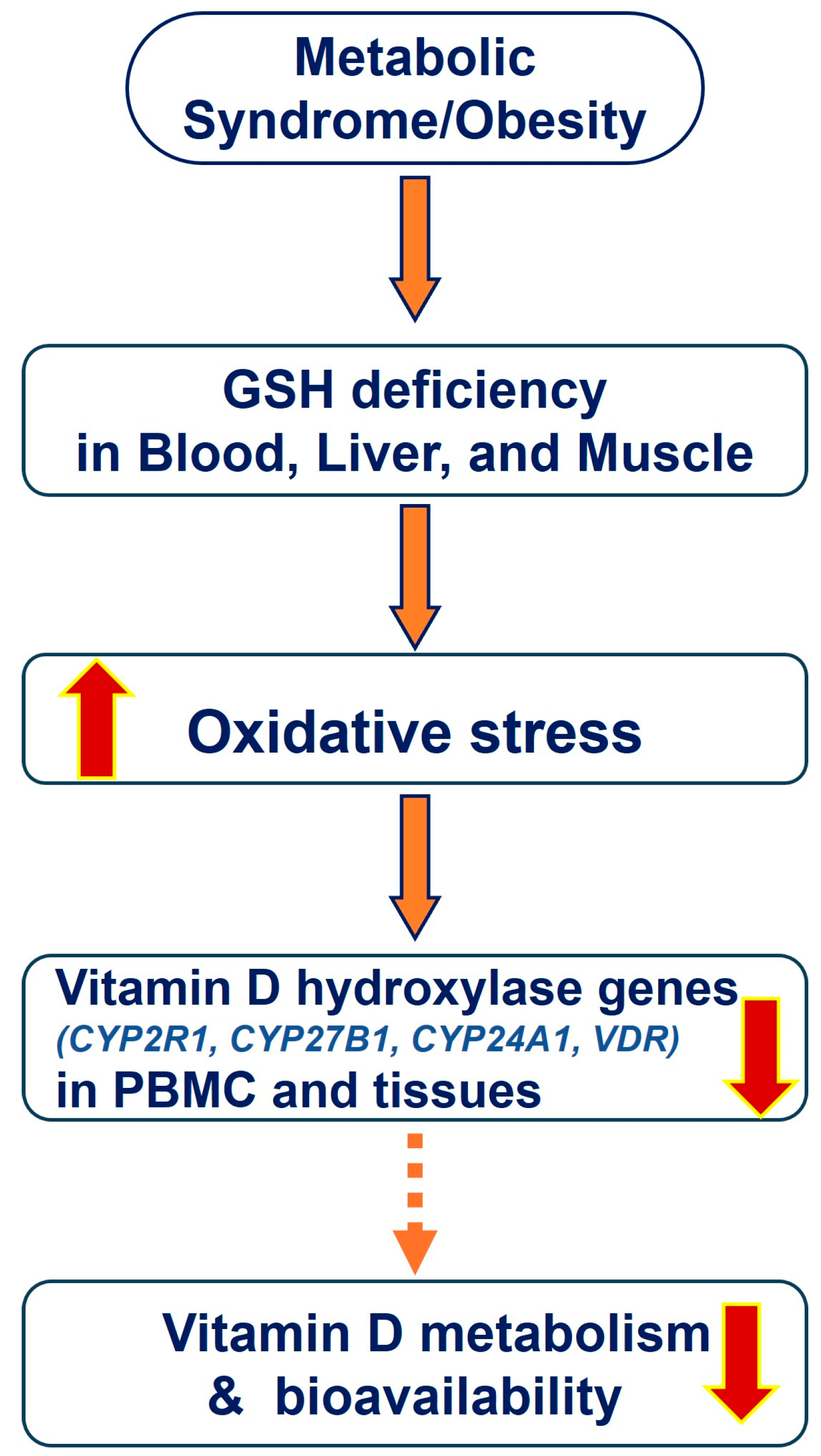 Nutrients 16 02004 g002 Nutrients 16 02004 g002