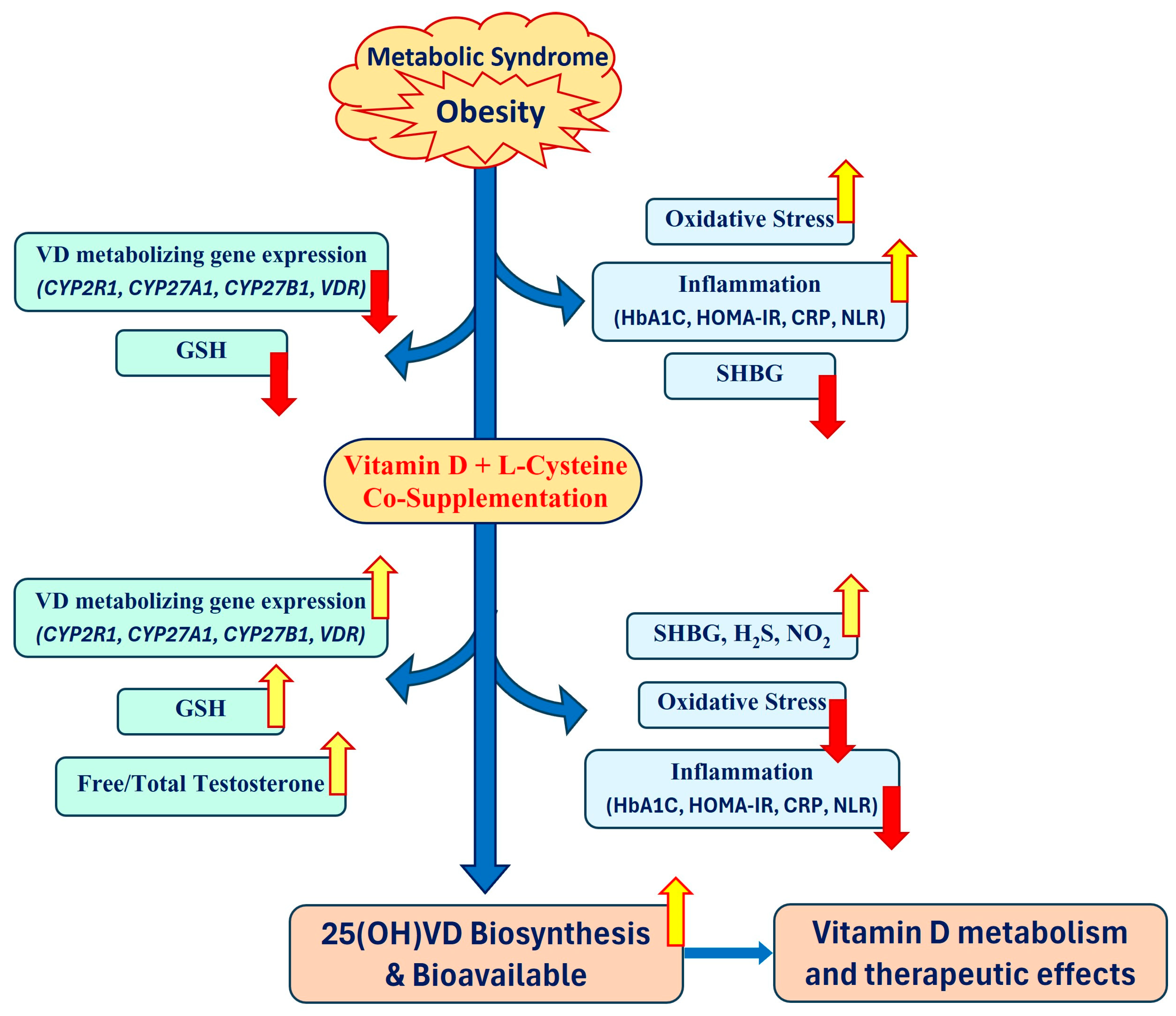 Nutrients 16 02004 g003 Nutrients 16 02004 g003
