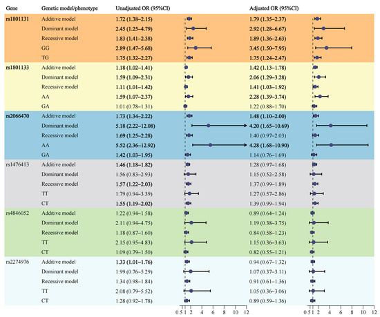 Association of Maternal Dietary Habits and Infant MTHFR Gene ...