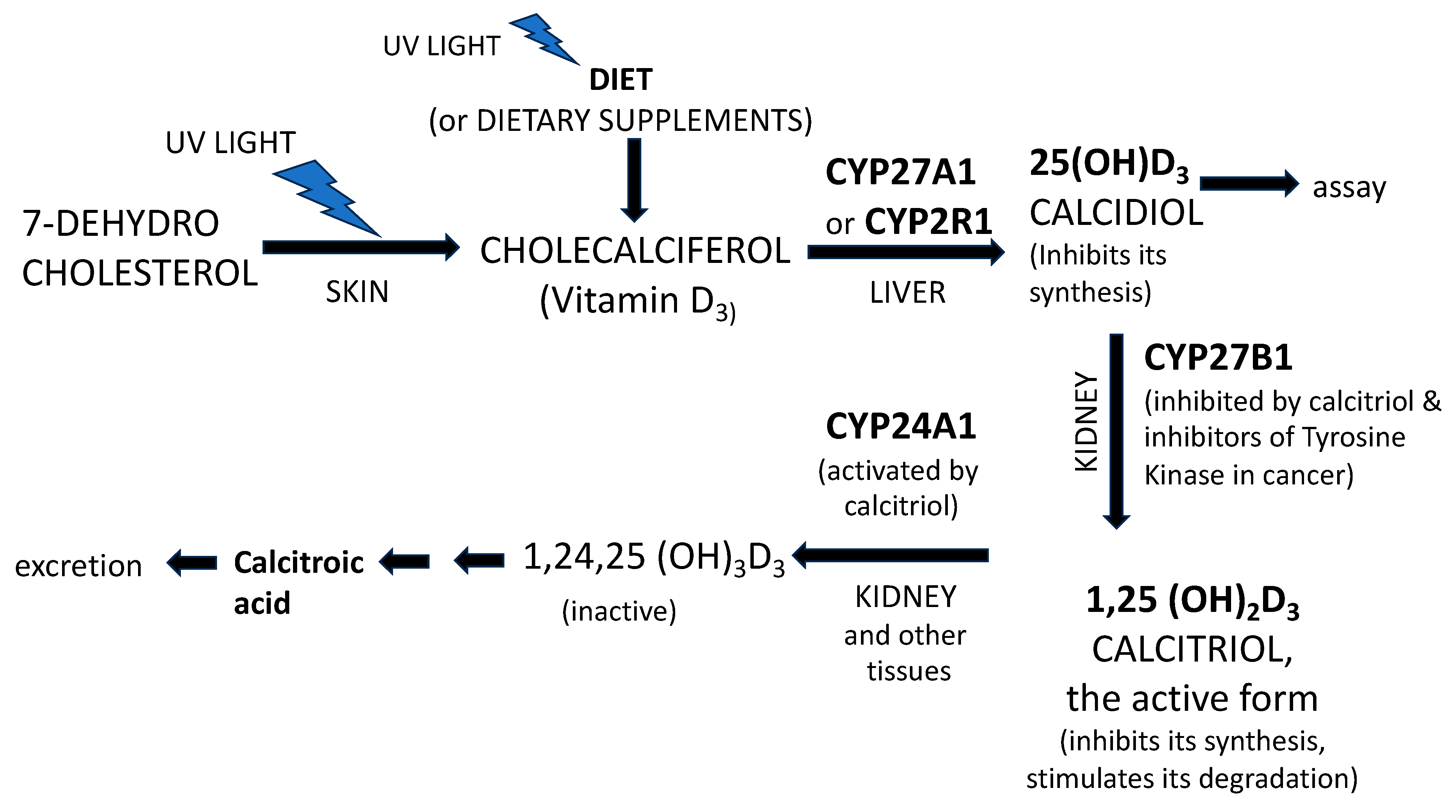 Nutrients 16 02015 g001