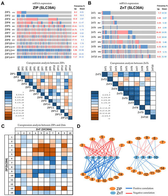 Emerging Perspectives in Zinc Transporter Research in