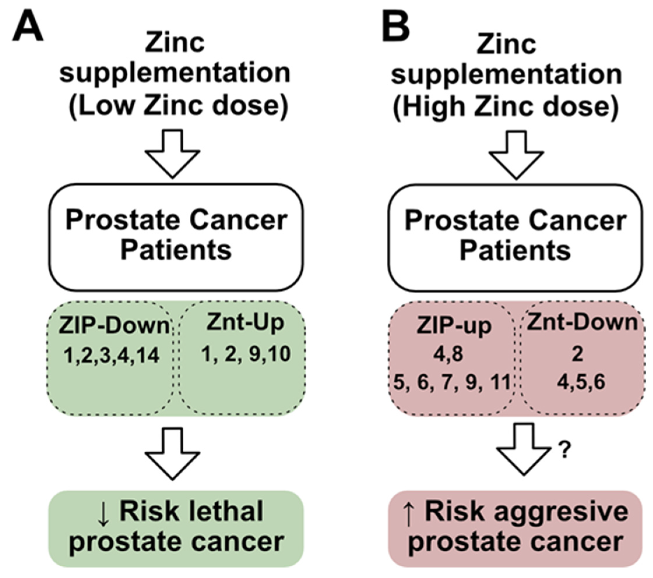 Nutrients 16 02026 g005