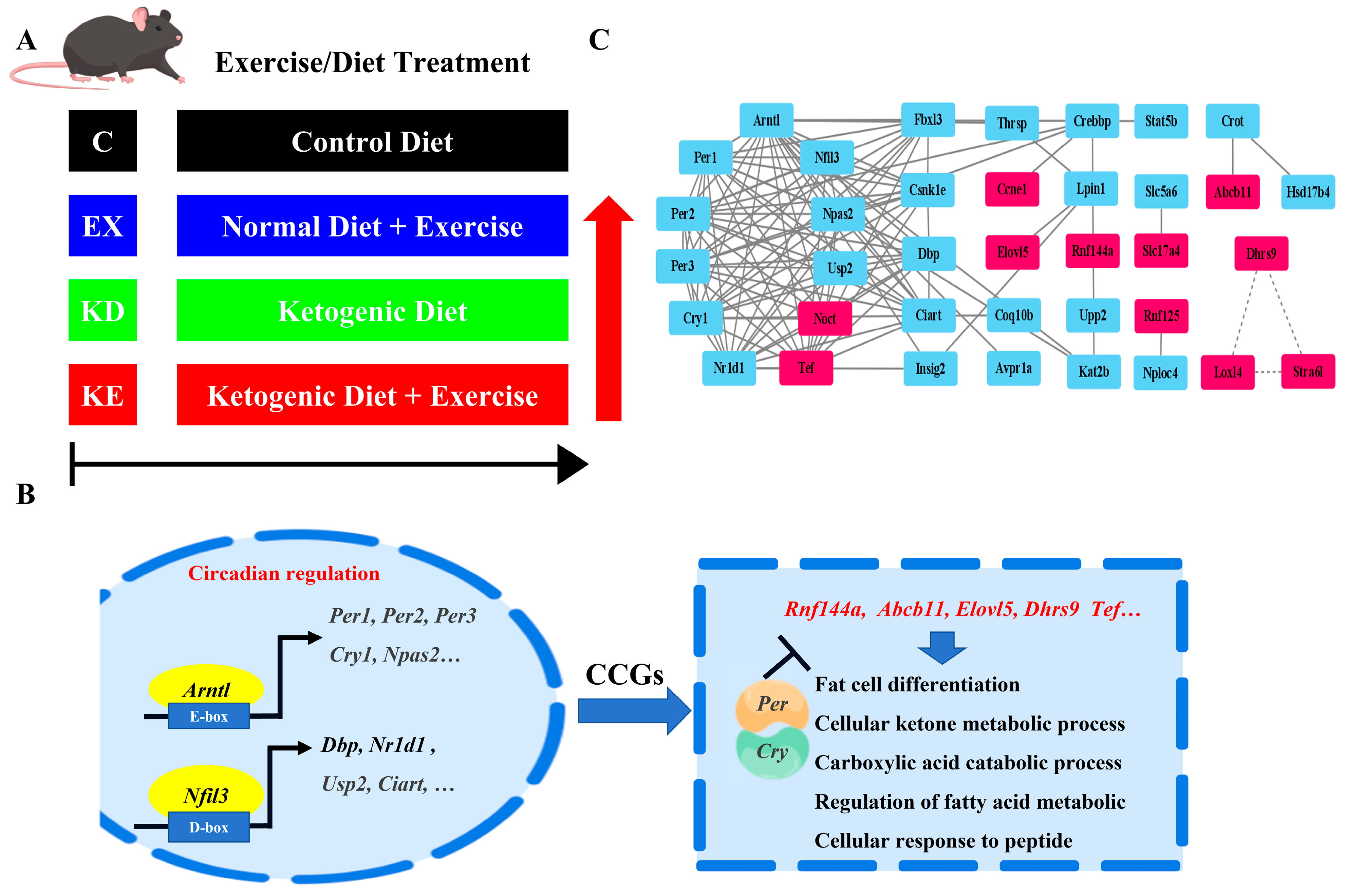 Nutrients 16 02039 g006