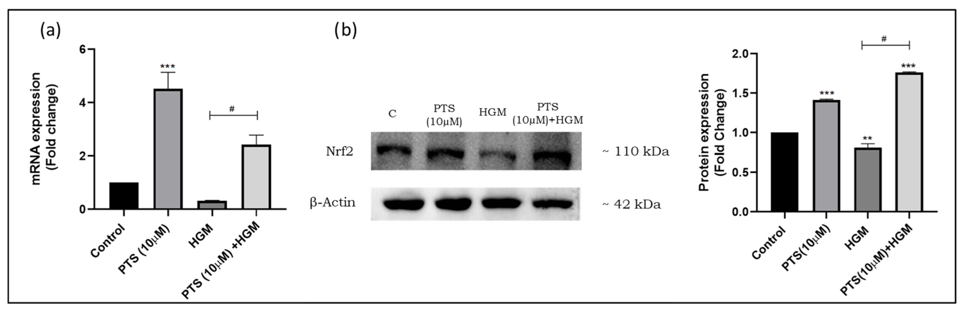 Nutrients 16 02045 g004 Nutrients 16 02045 g004