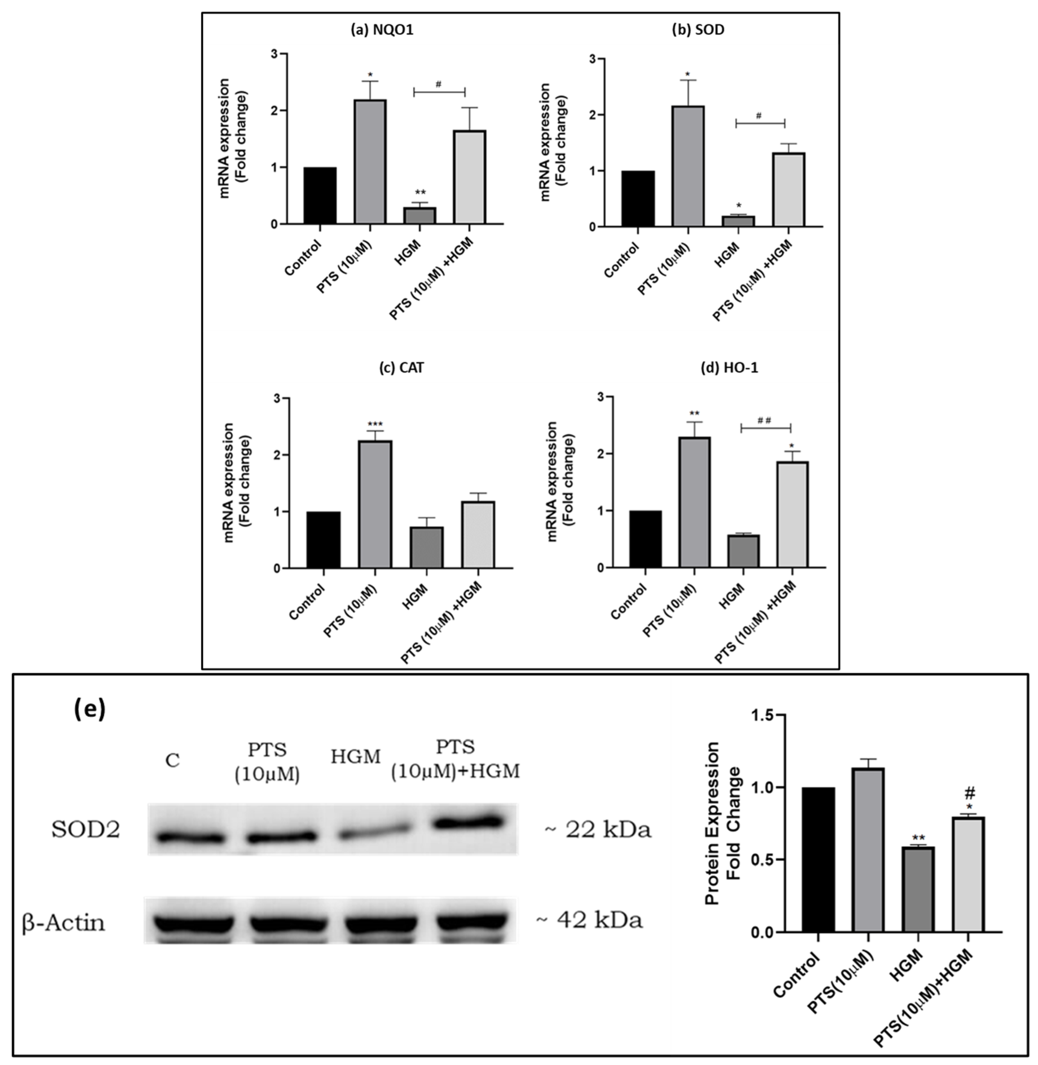Nutrients 16 02045 g005 Nutrients 16 02045 g005