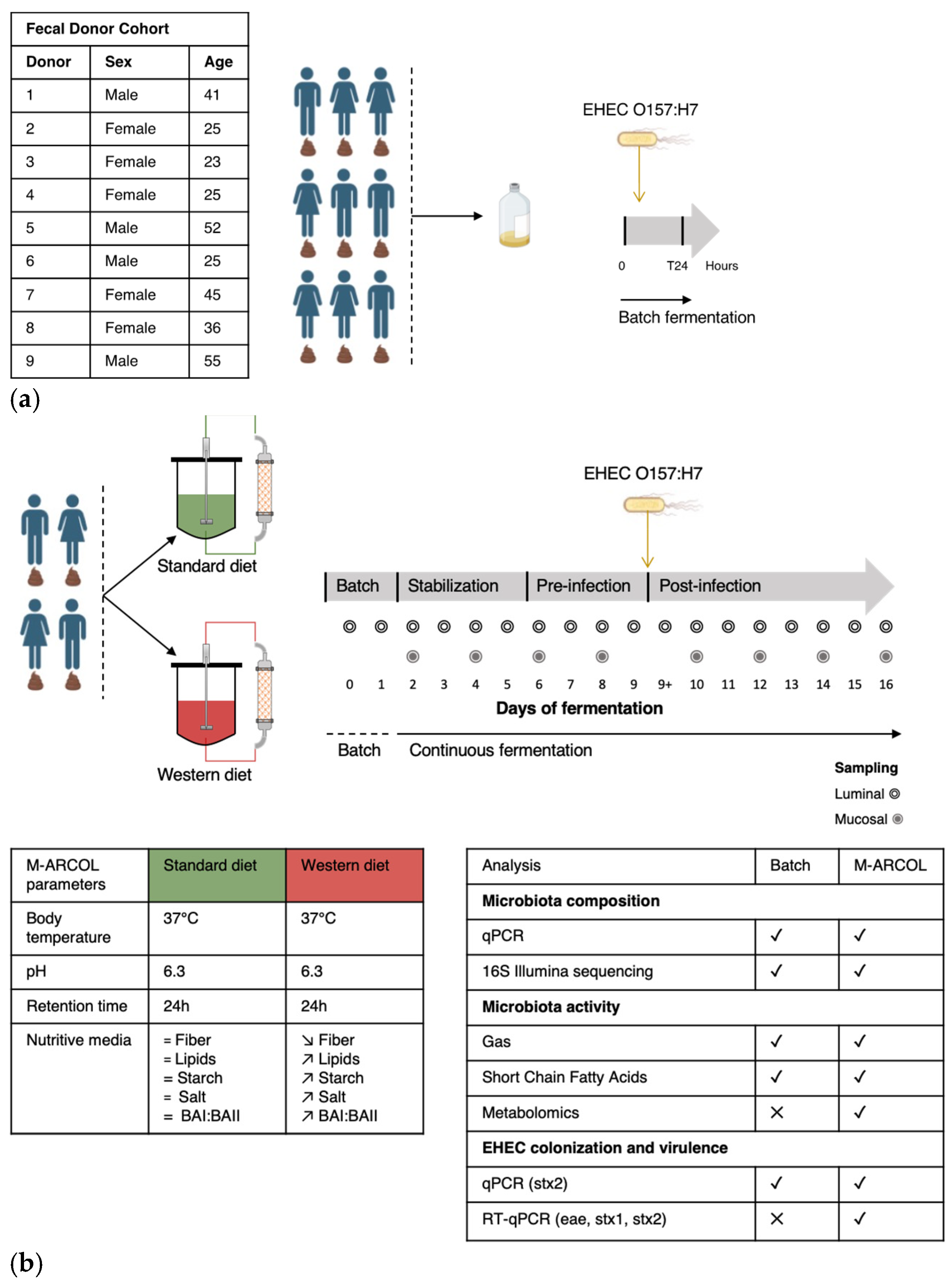 Nutrients 16 02046 g001