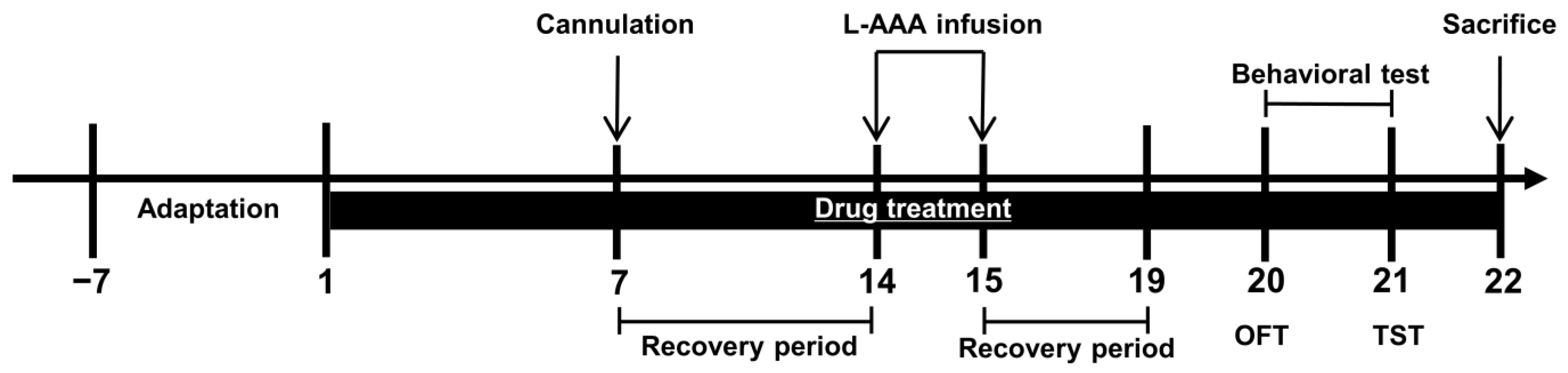 Nutrients 16 02049 g001