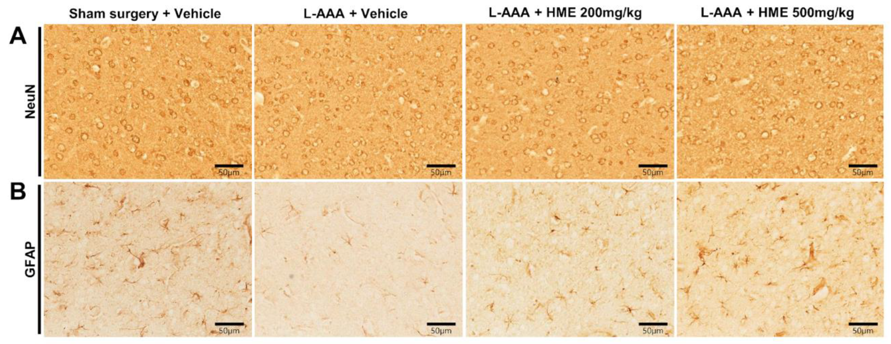 Nutrients 16 02049 g004