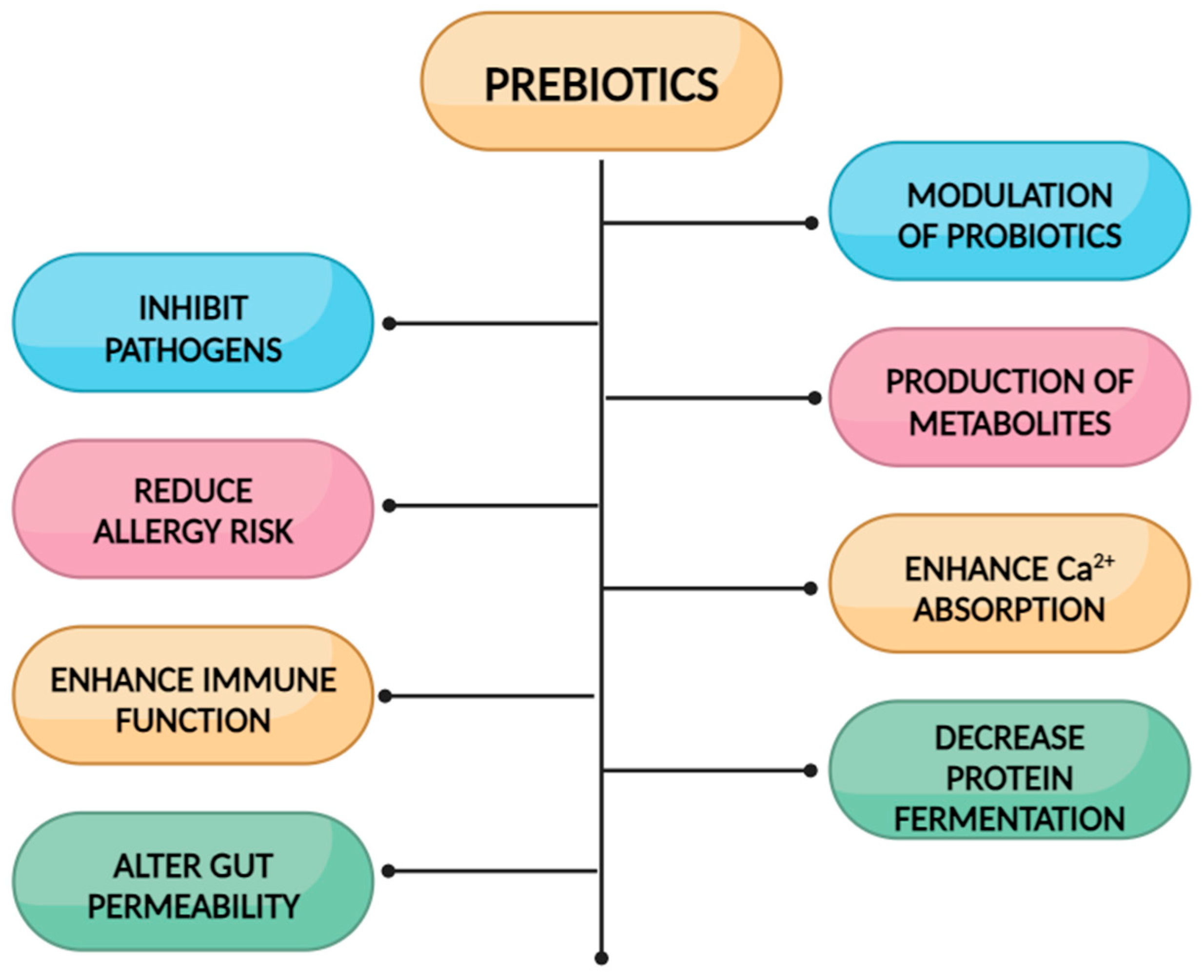 Nutrients 16 02067 g002 Nutrients 16 02067 g002