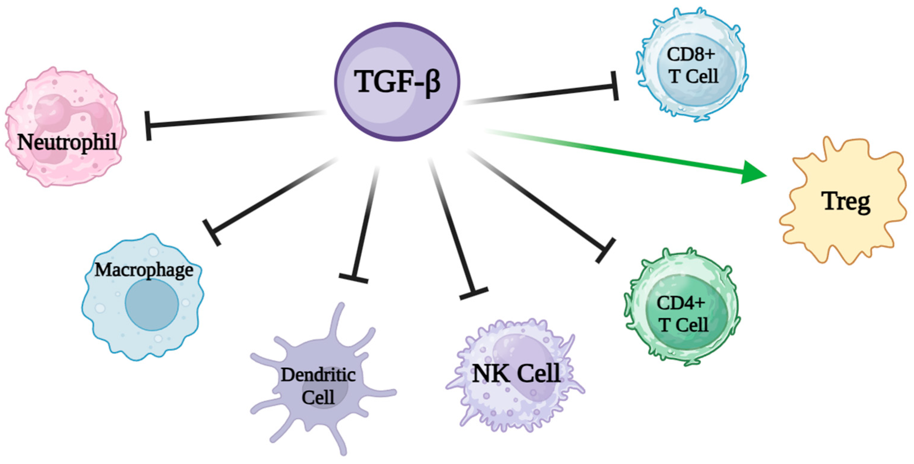 Nutrients 16 02067 g005 Nutrients 16 02067 g005