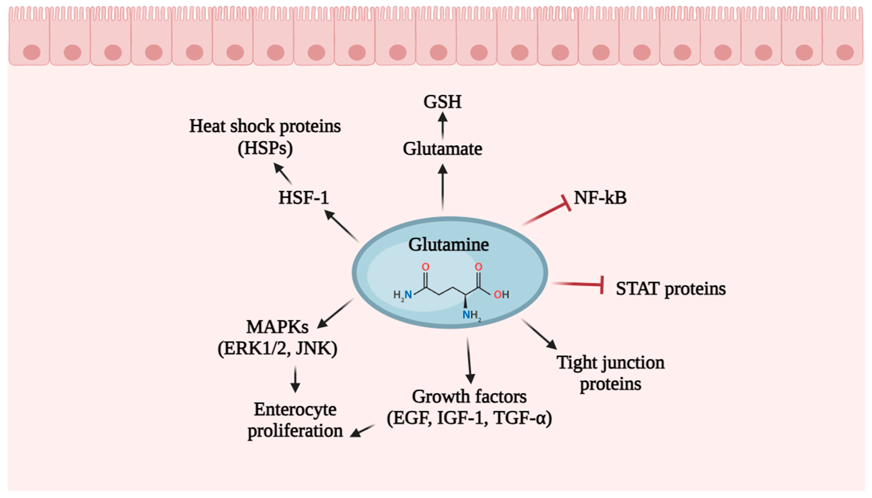 Nutrients 16 02067 g009 Nutrients 16 02067 g009