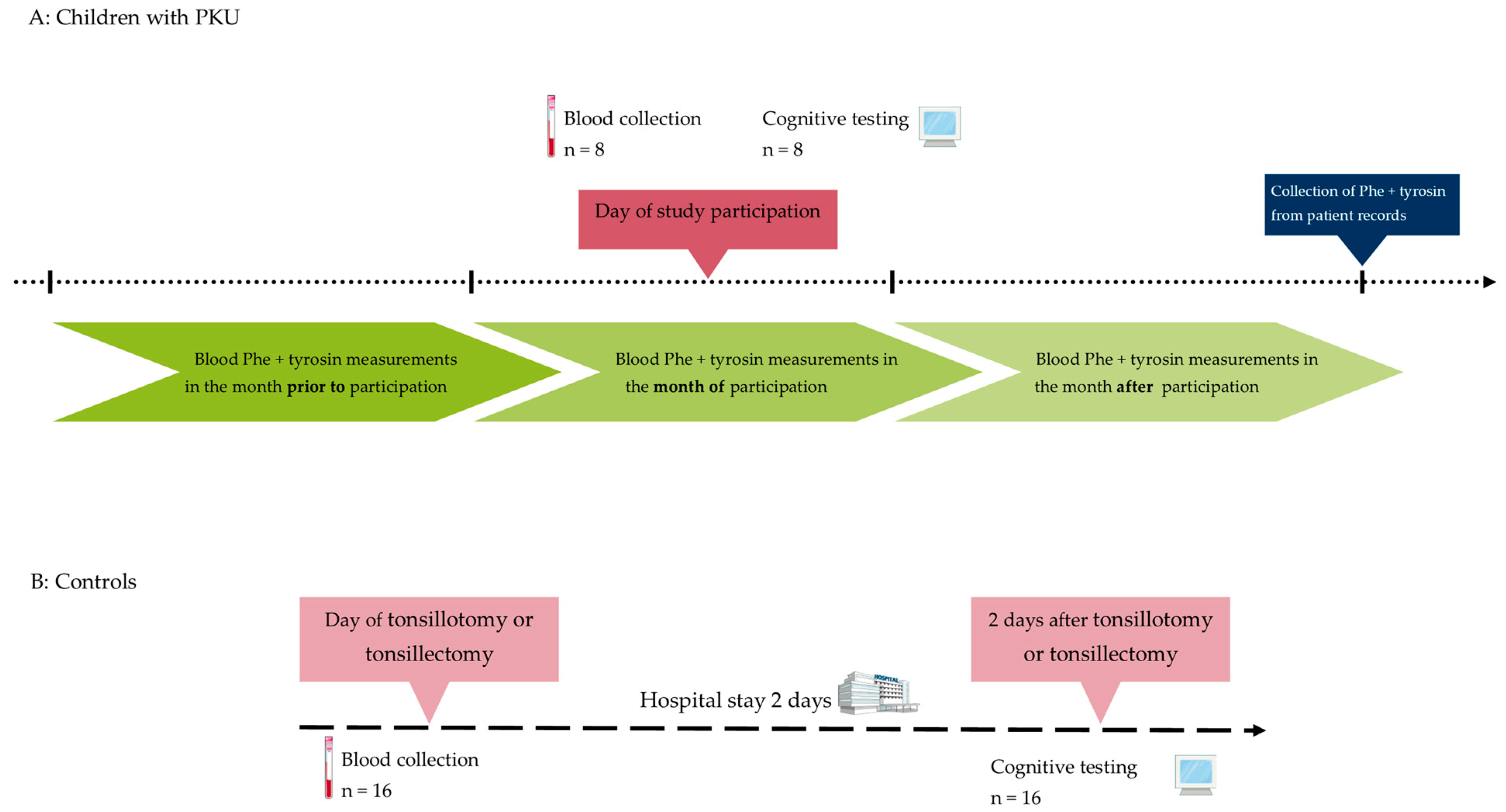 Nutrients 16 02072 g001