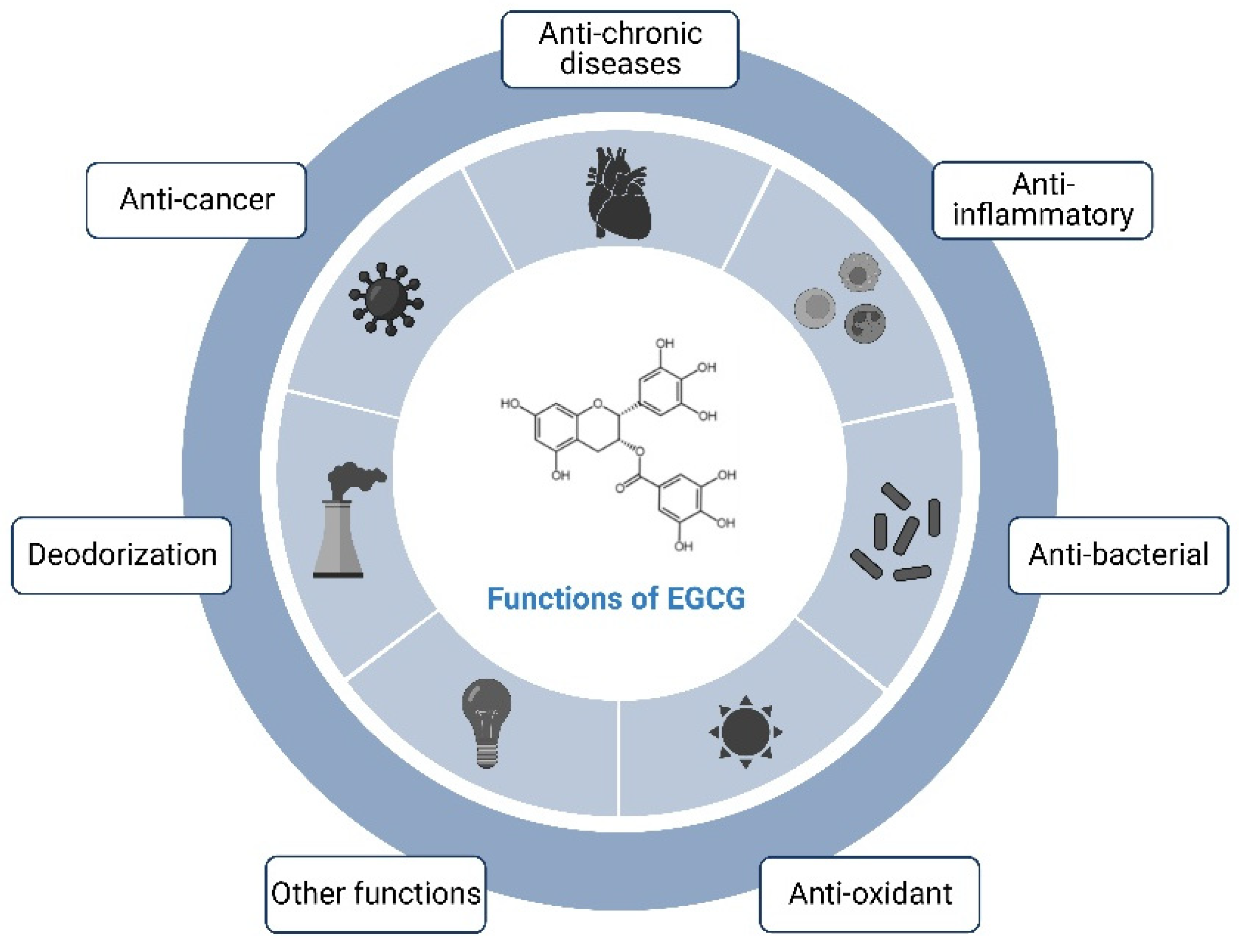 Nutrients 16 02074 g002 Nutrients 16 02074 g002