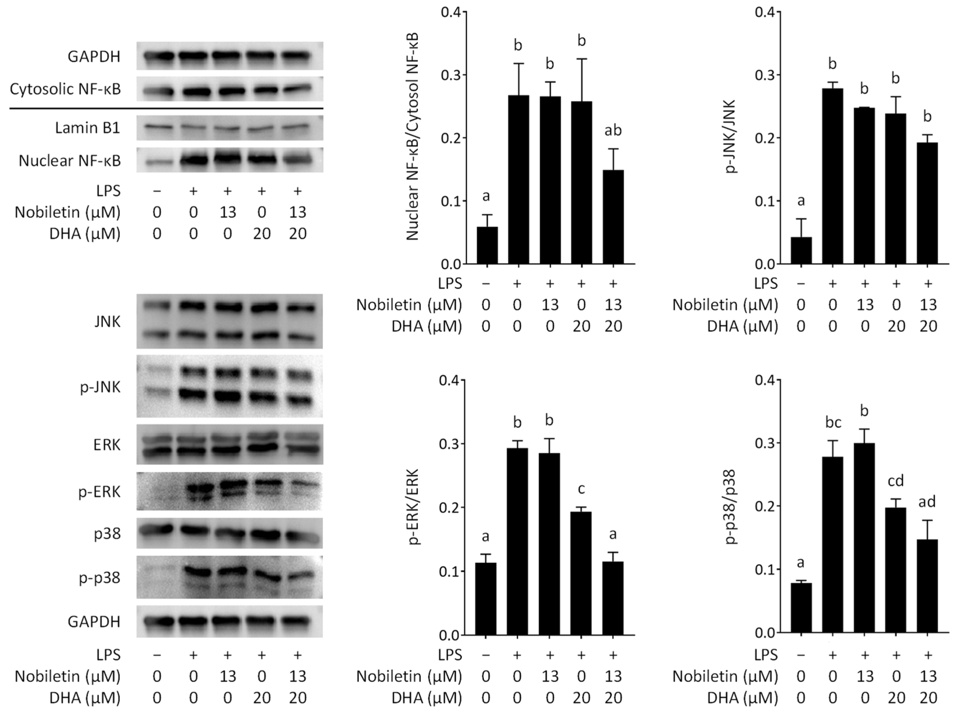 Nutrients 16 02080 g007