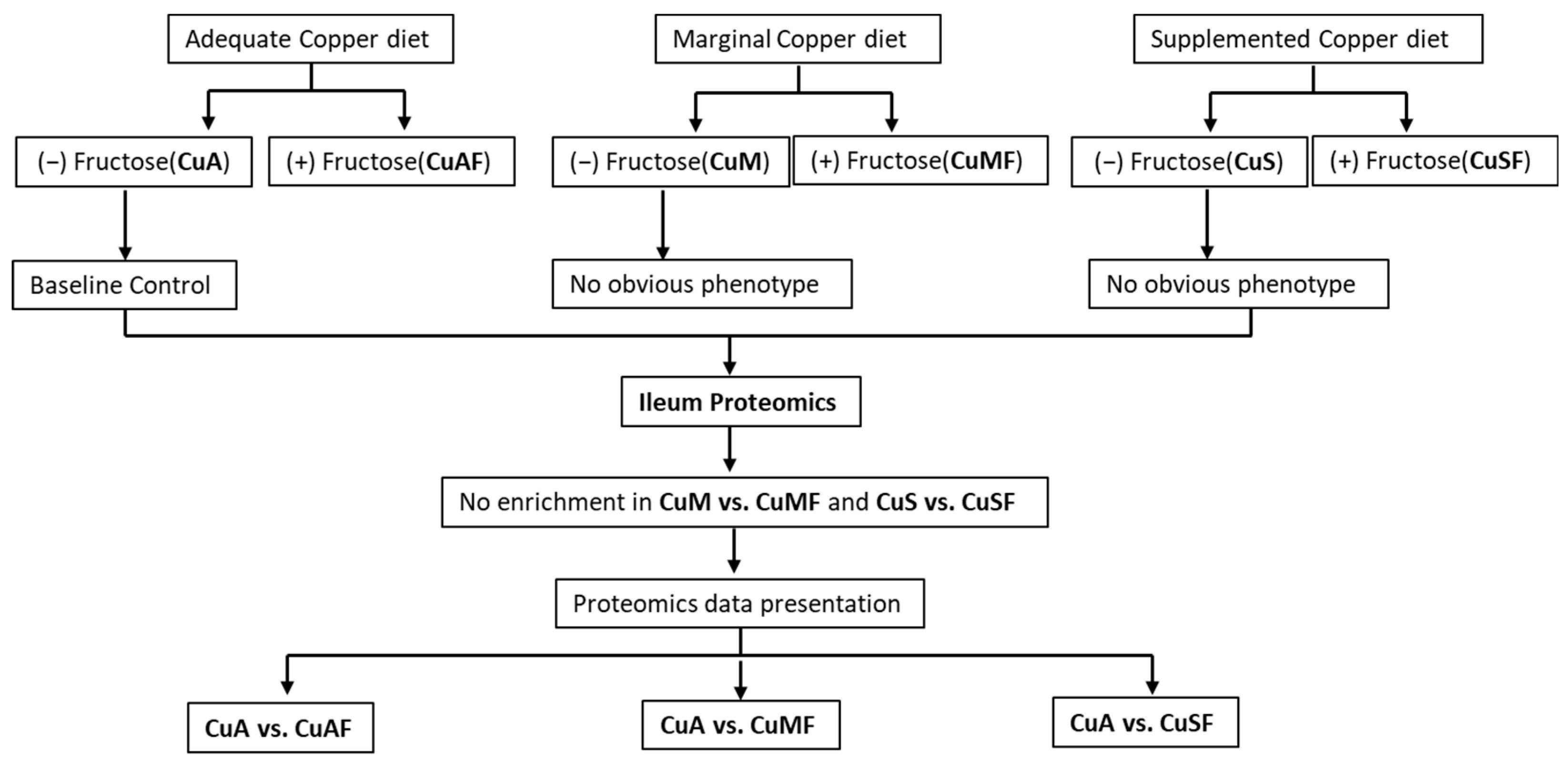 Nutrients 16 02083 g001 Nutrients 16 02083 g001