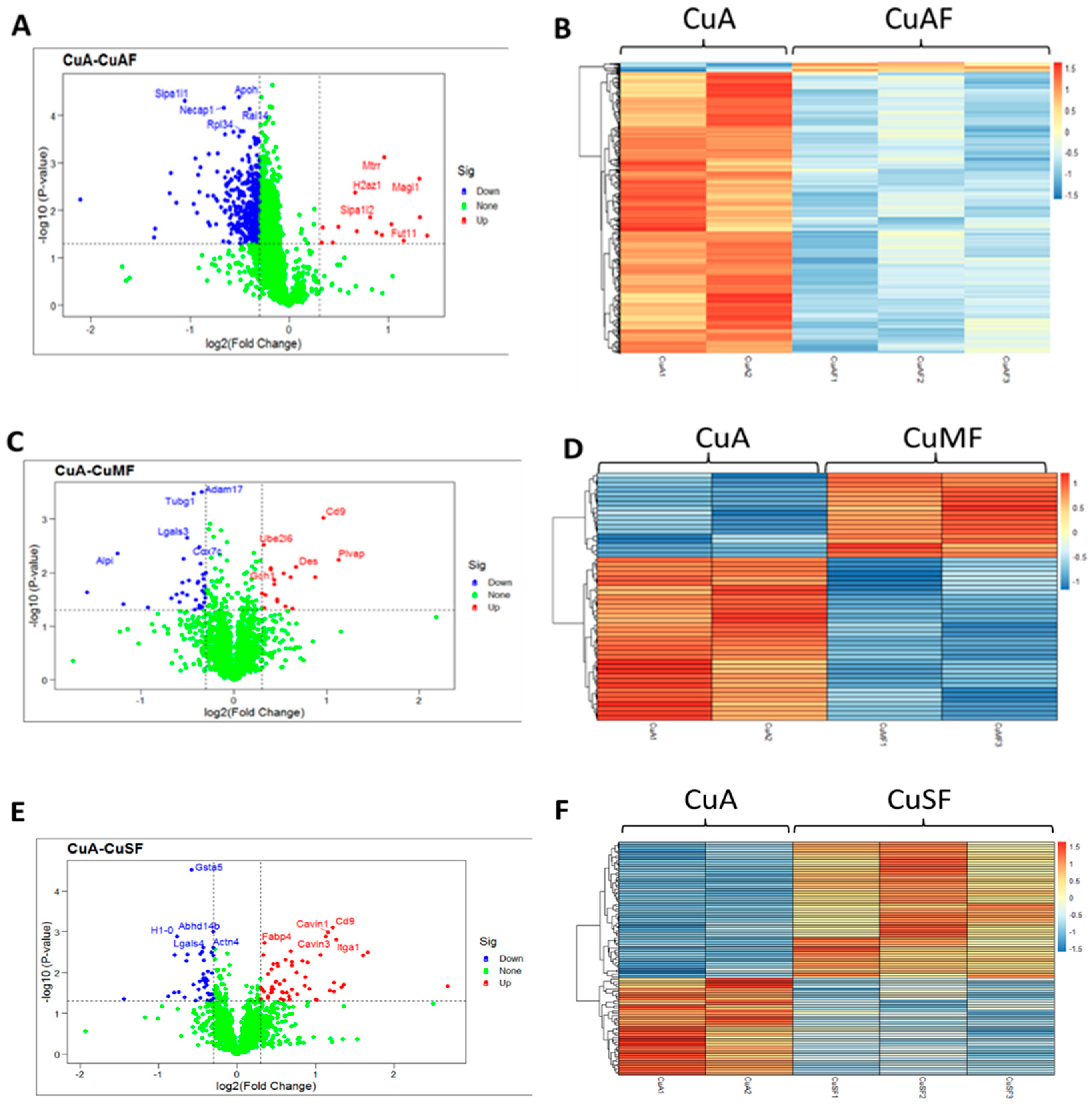 Nutrients 16 02083 g004 Nutrients 16 02083 g004