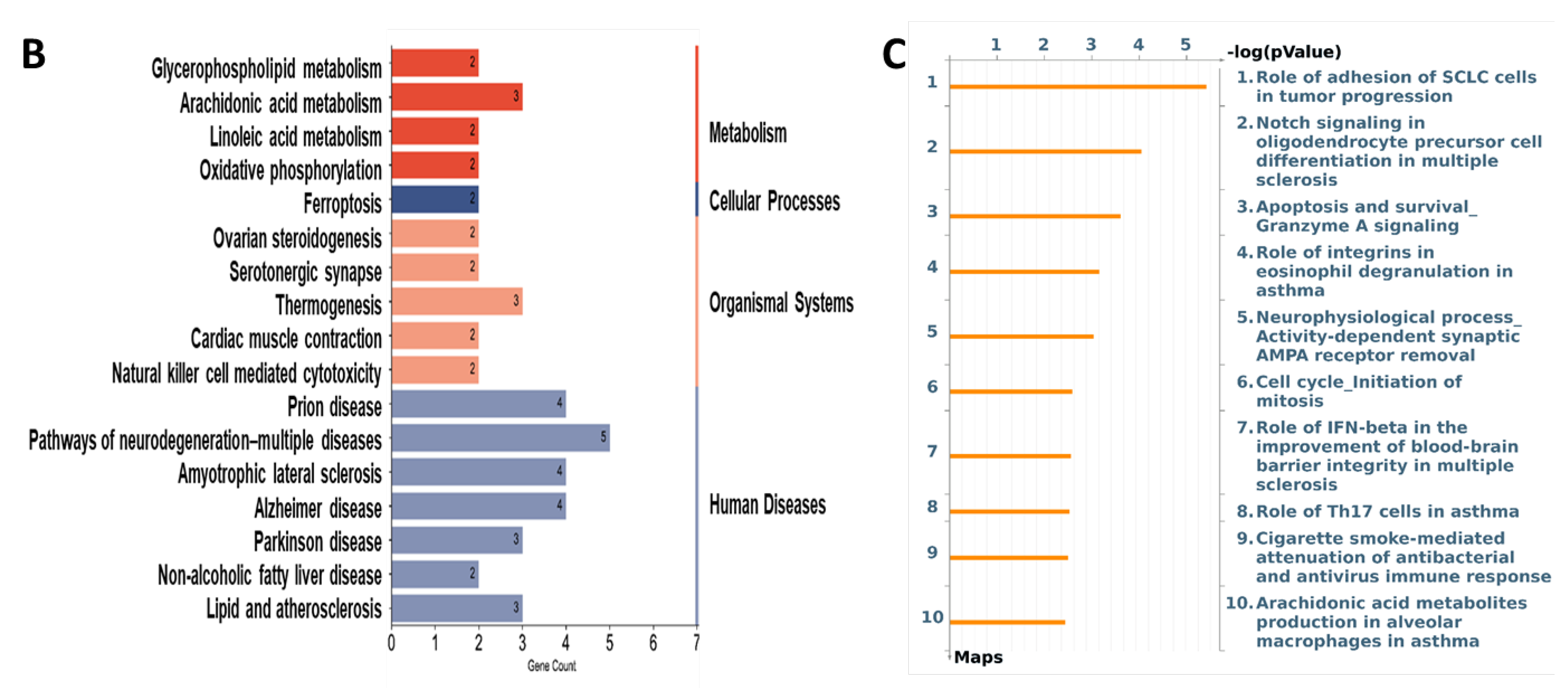 Nutrients 16 02083 g006b Nutrients 16 02083 g006b
