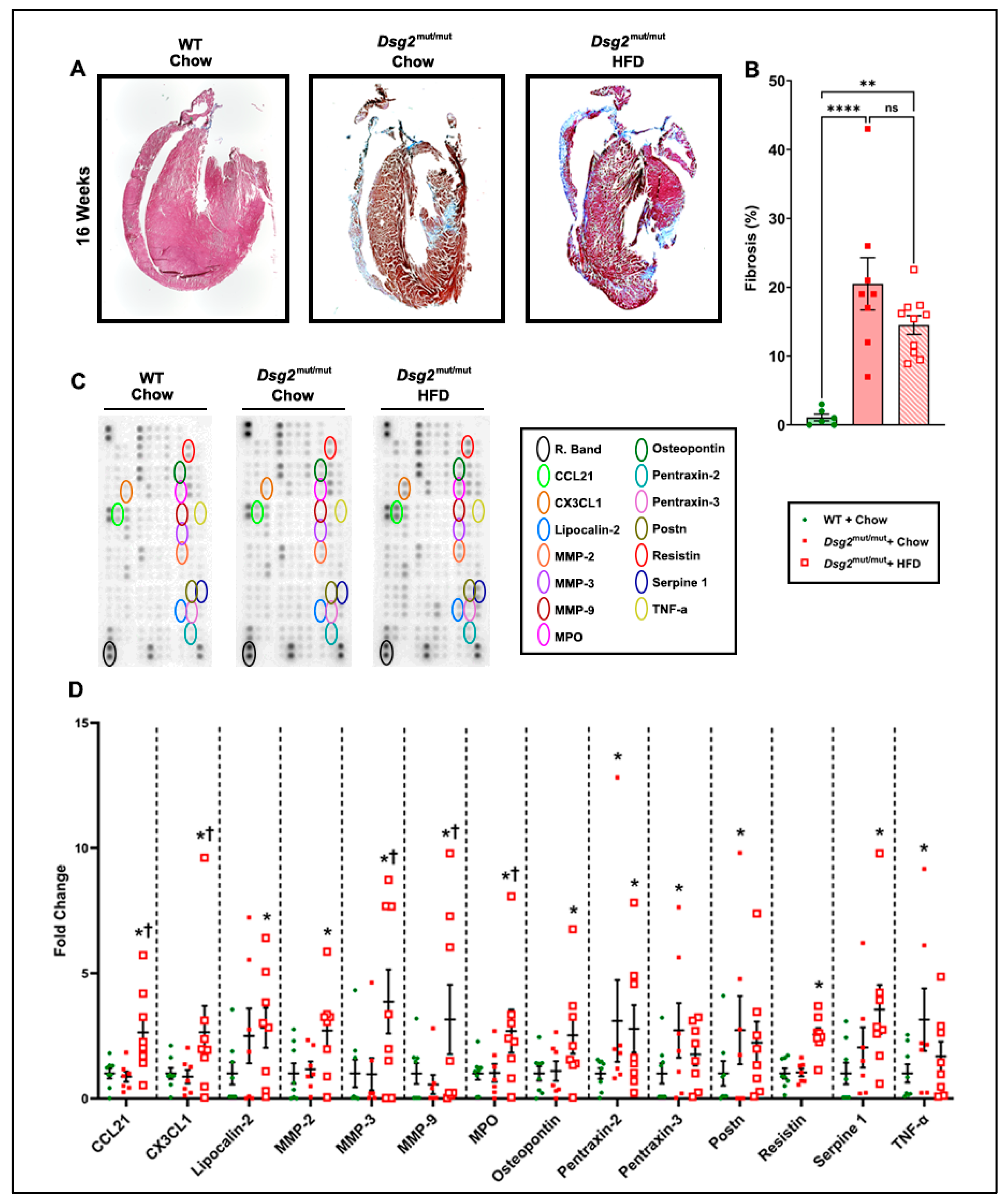 Nutrients 16 02087 g004