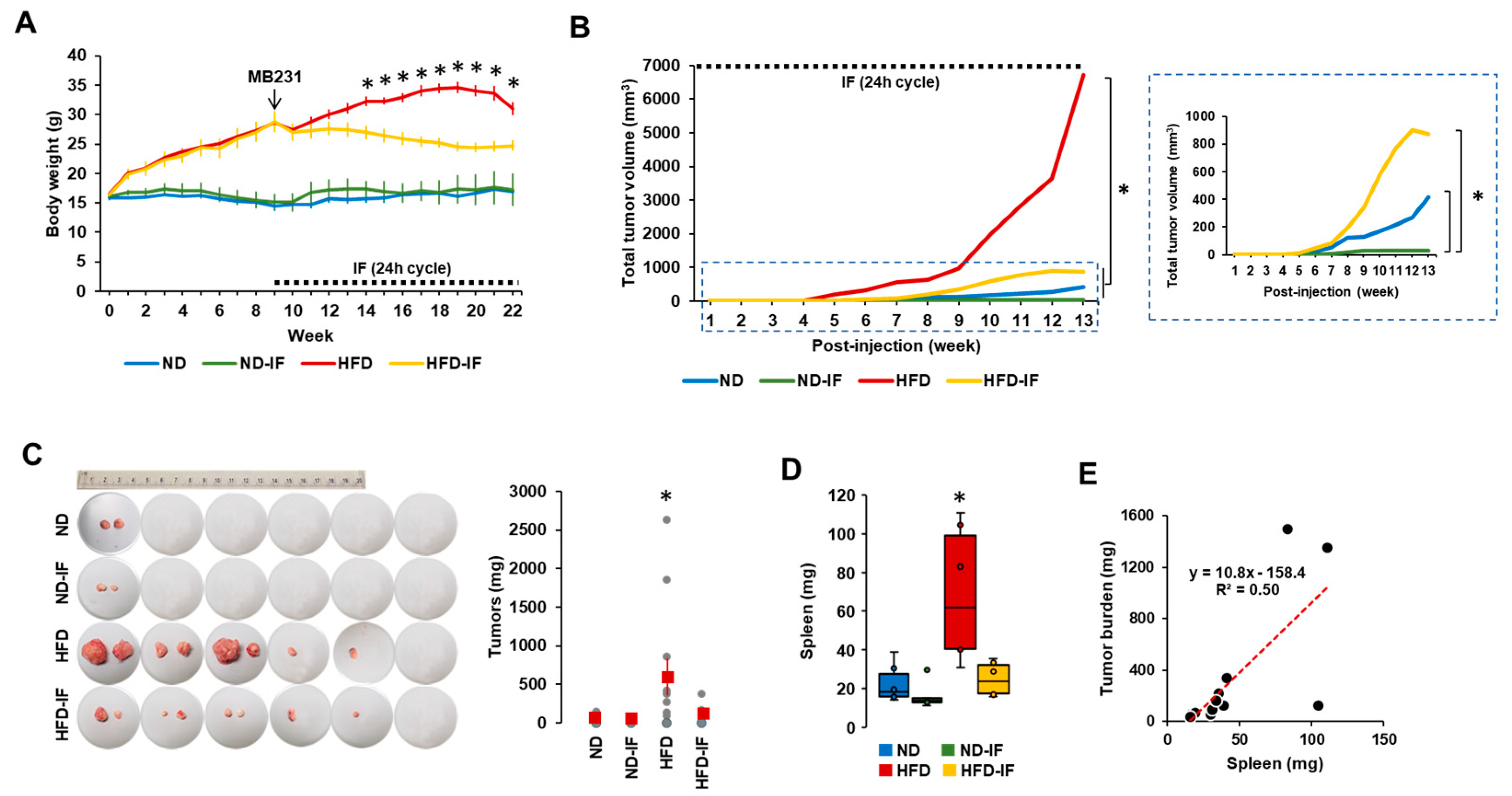 Nutrients 16 02101 g005 Nutrients 16 02101 g005