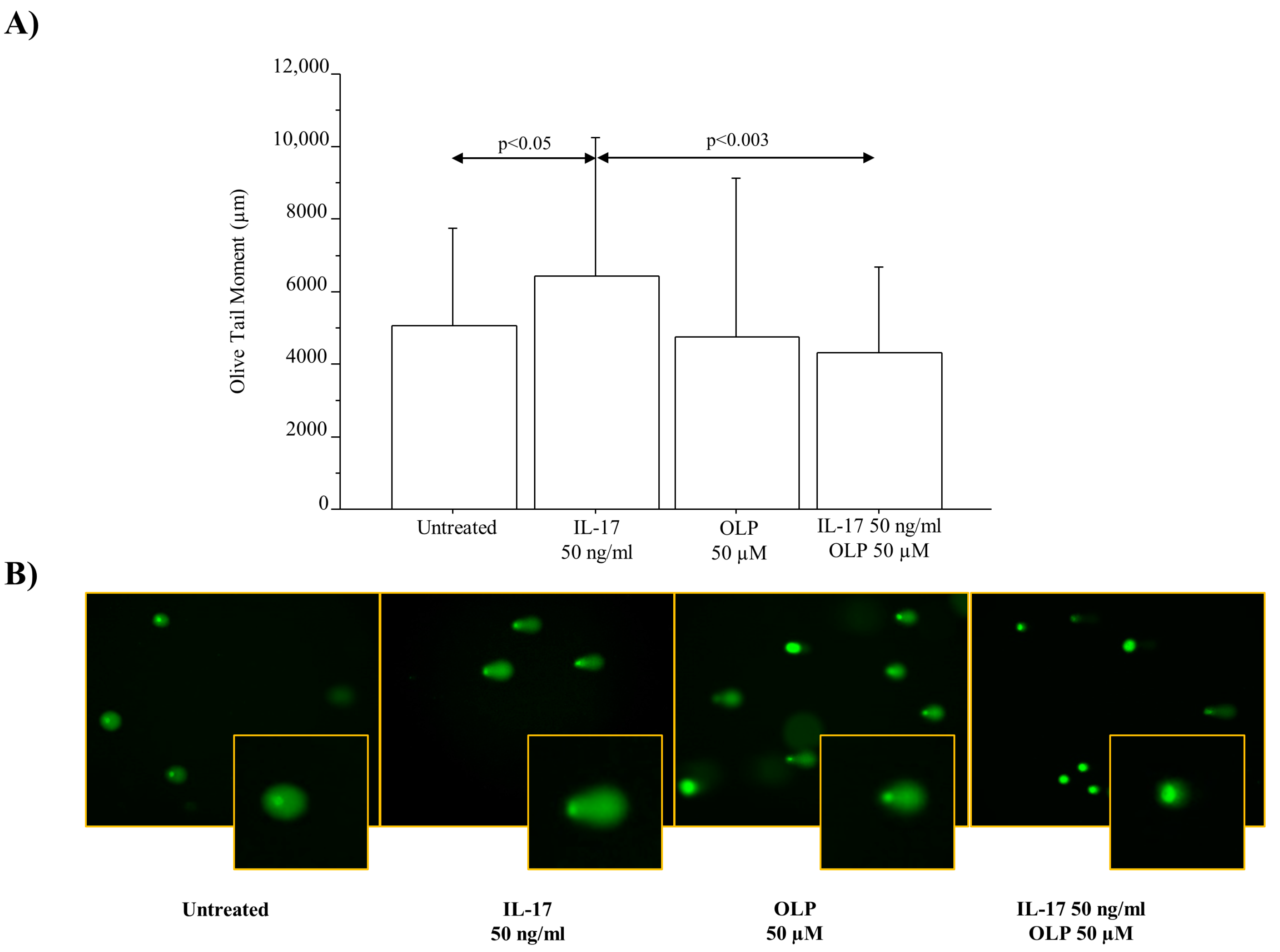 Nutrients 16 02123 g005 Nutrients 16 02123 g005