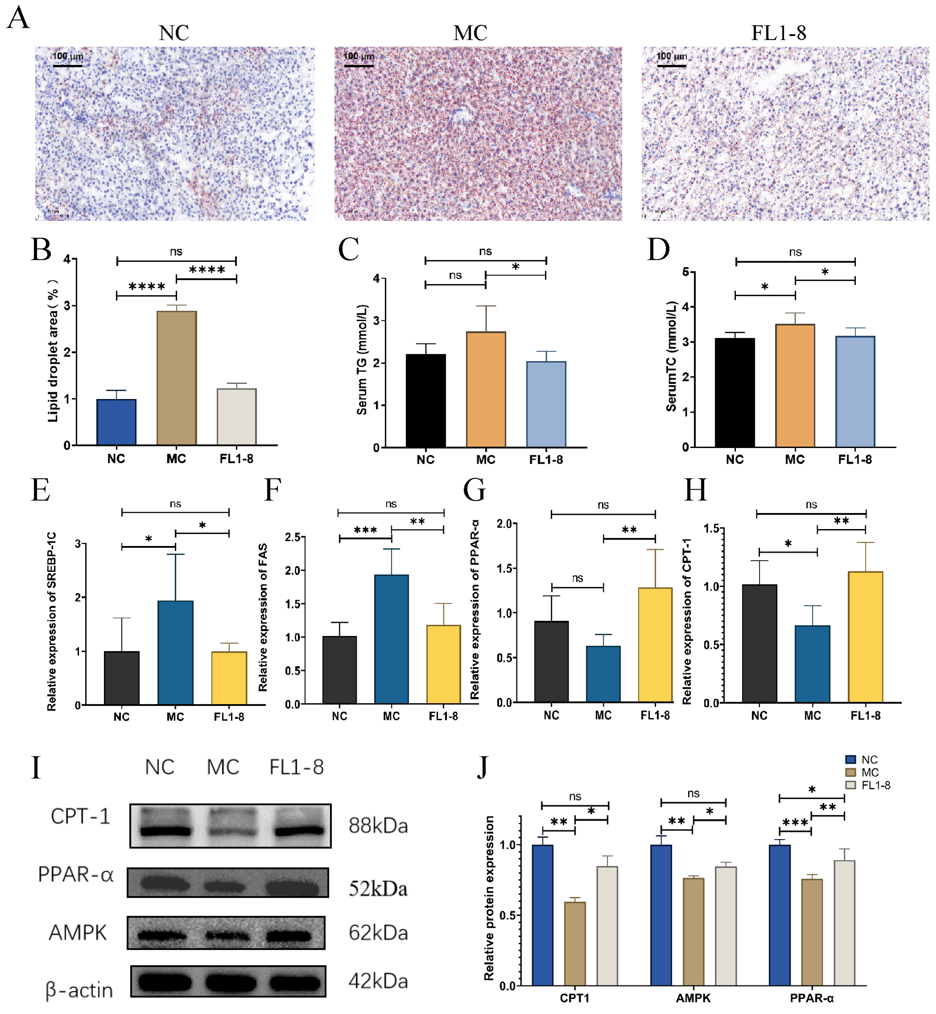 Nutrients 16 02139 g004