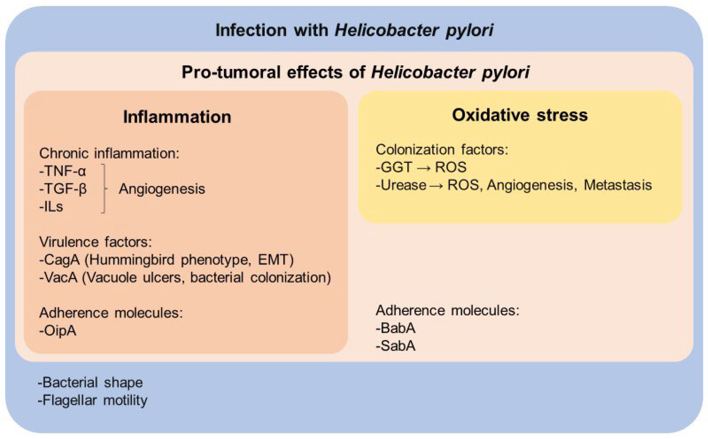 Nutrients 16 02141 g001 Nutrients 16 02141 g001