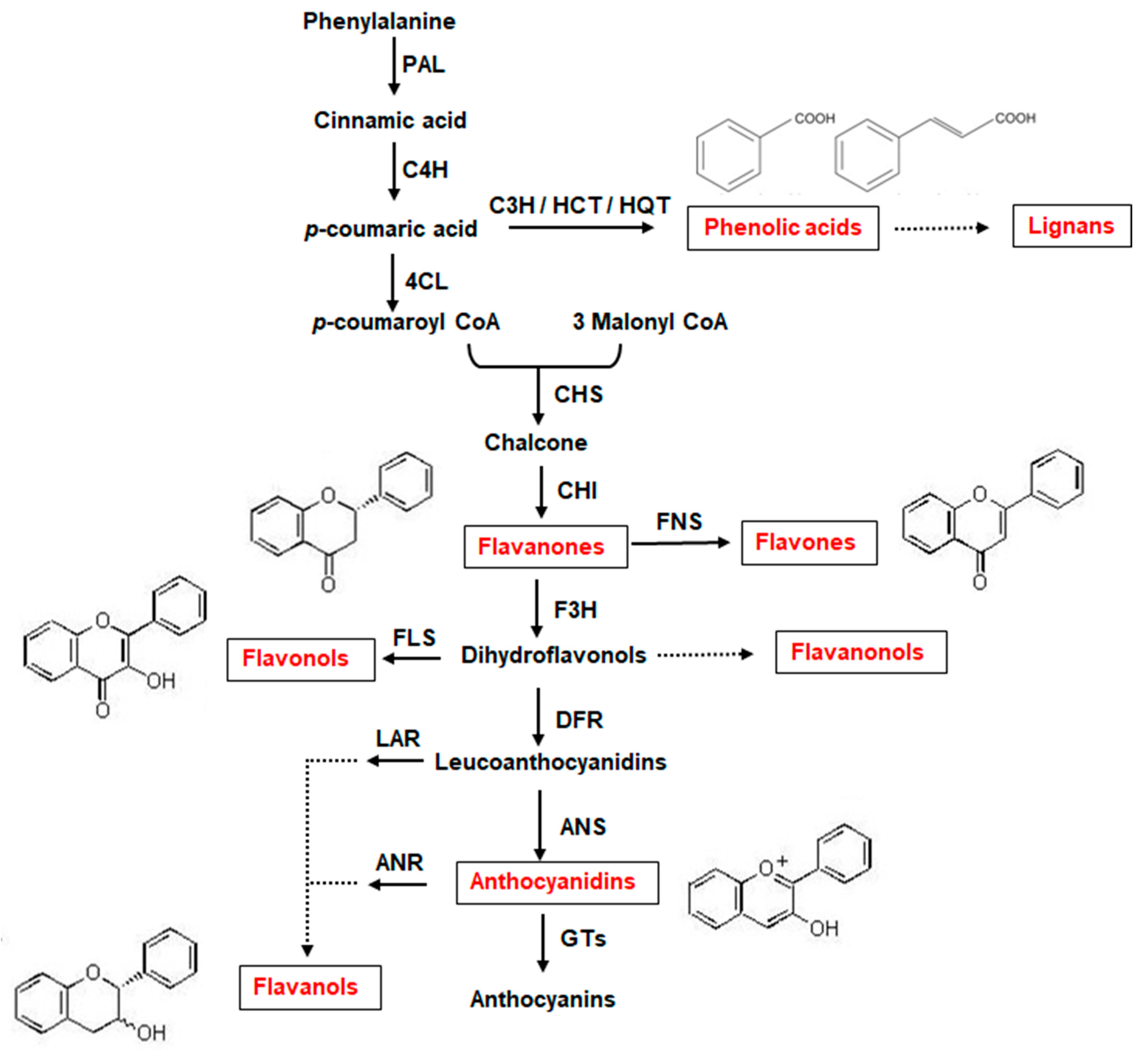 Nutrients 16 02155 g001