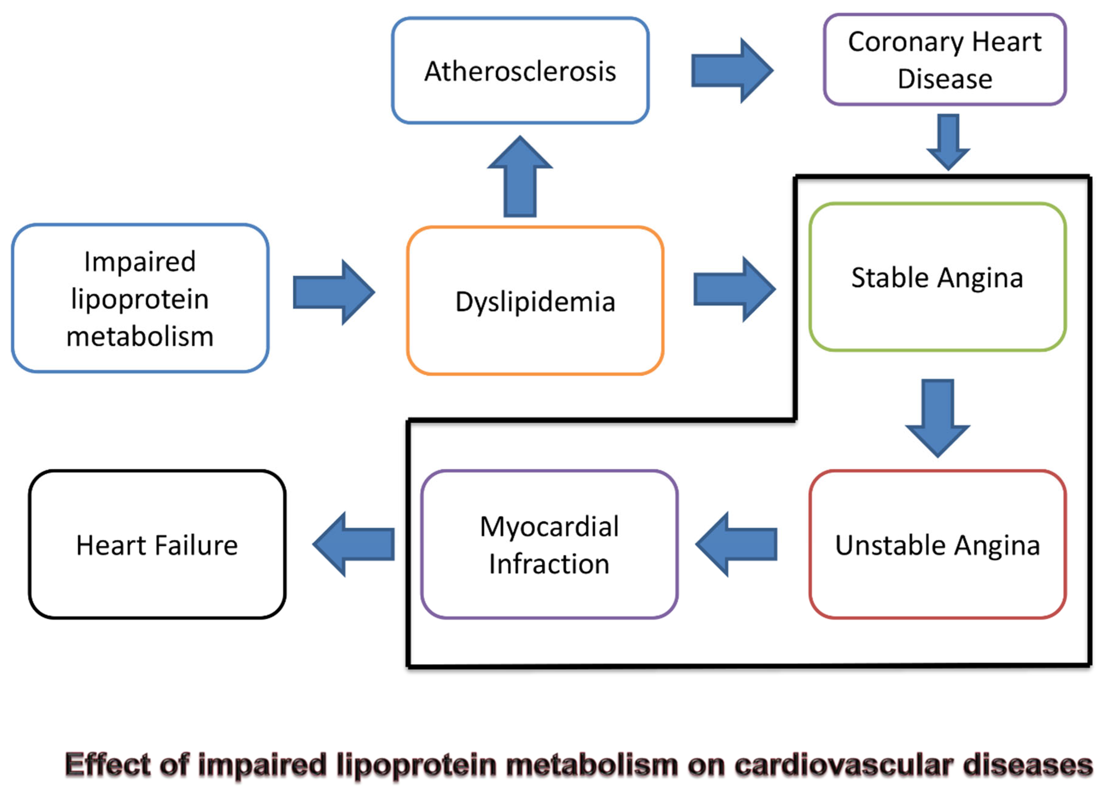 Nutrients 16 02156 g002