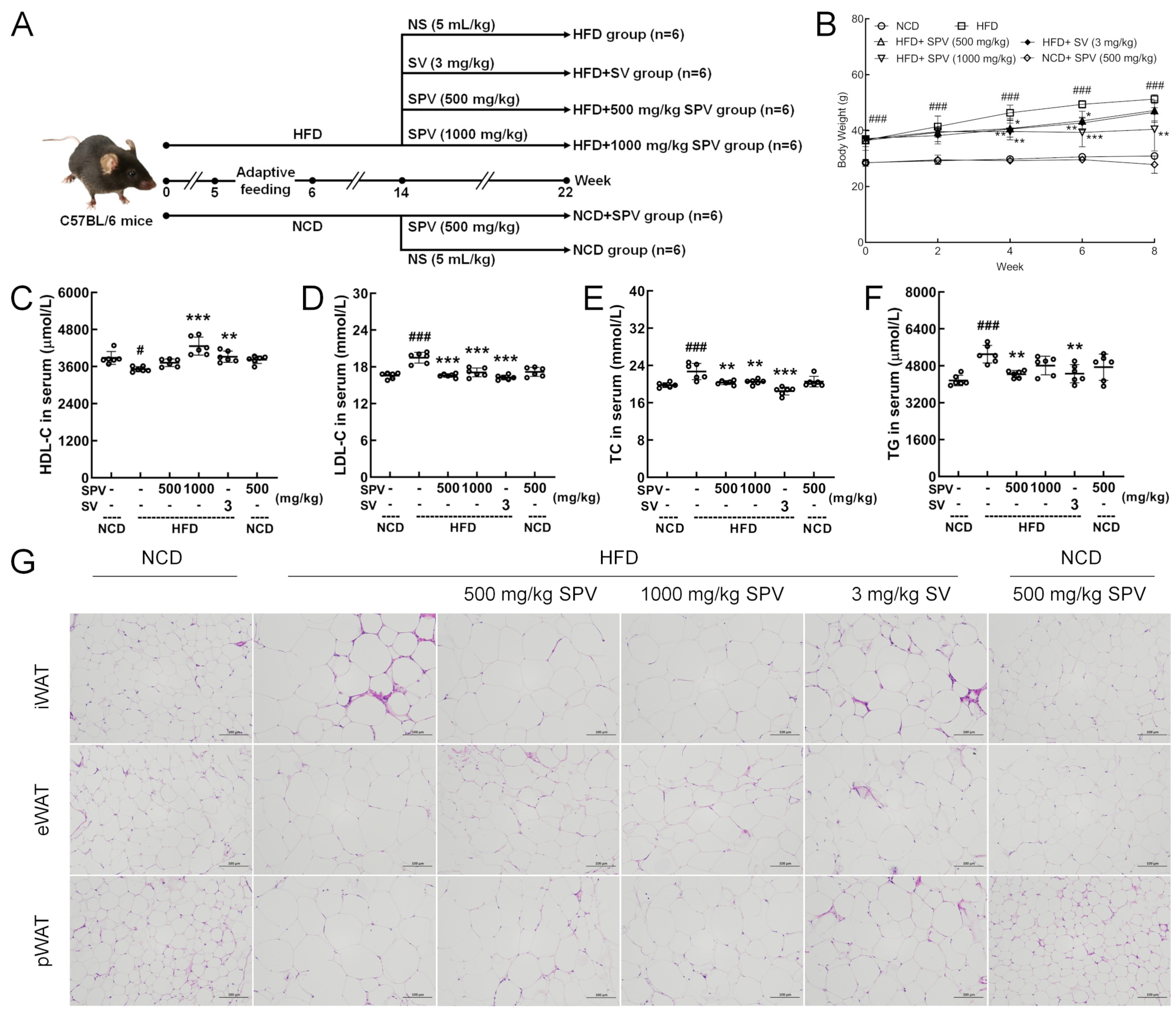 Nutrients 16 02159 g001