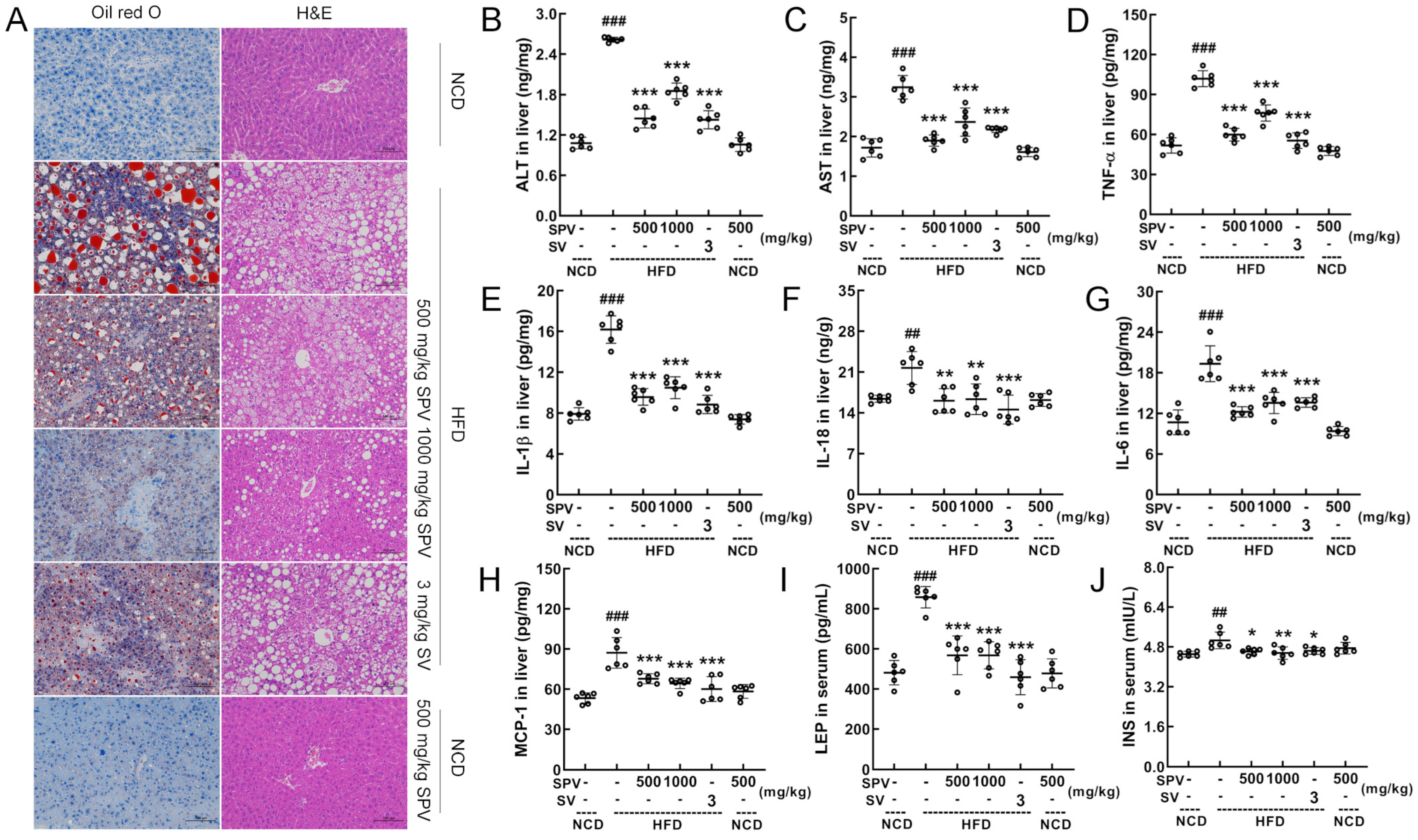 Nutrients 16 02159 g002