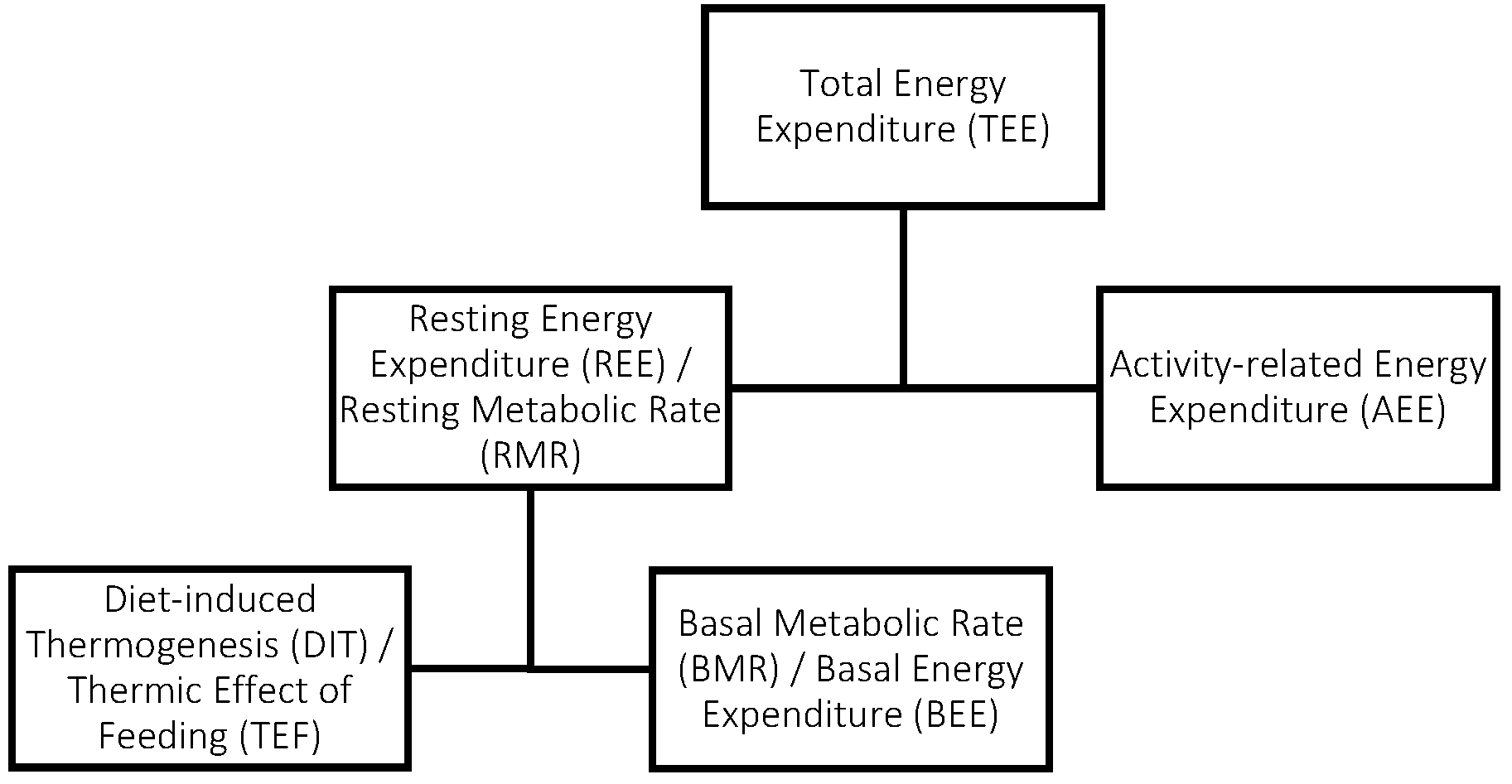 Nutrients 16 02161 g001