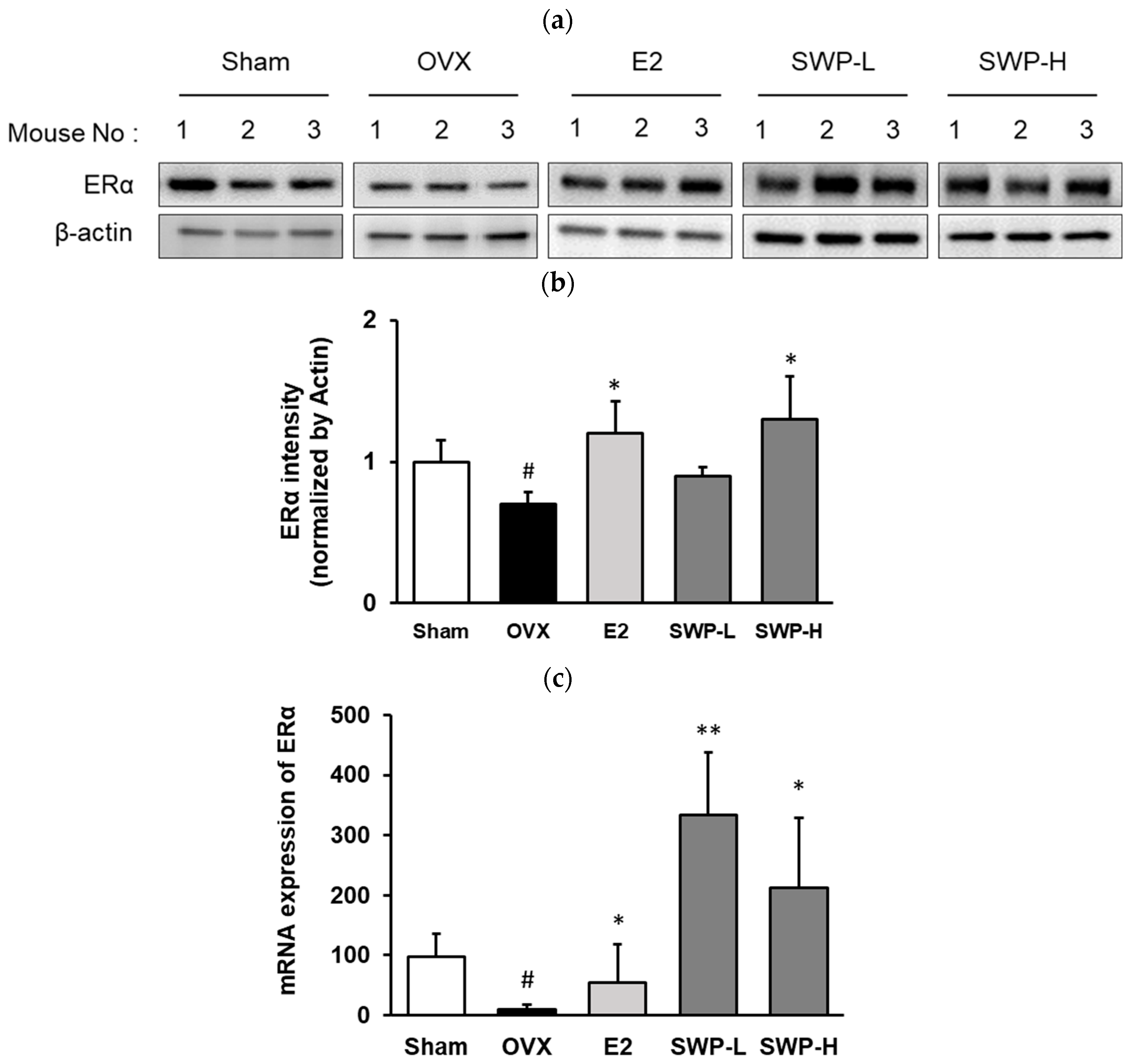 Nutrients 16 02164 g004