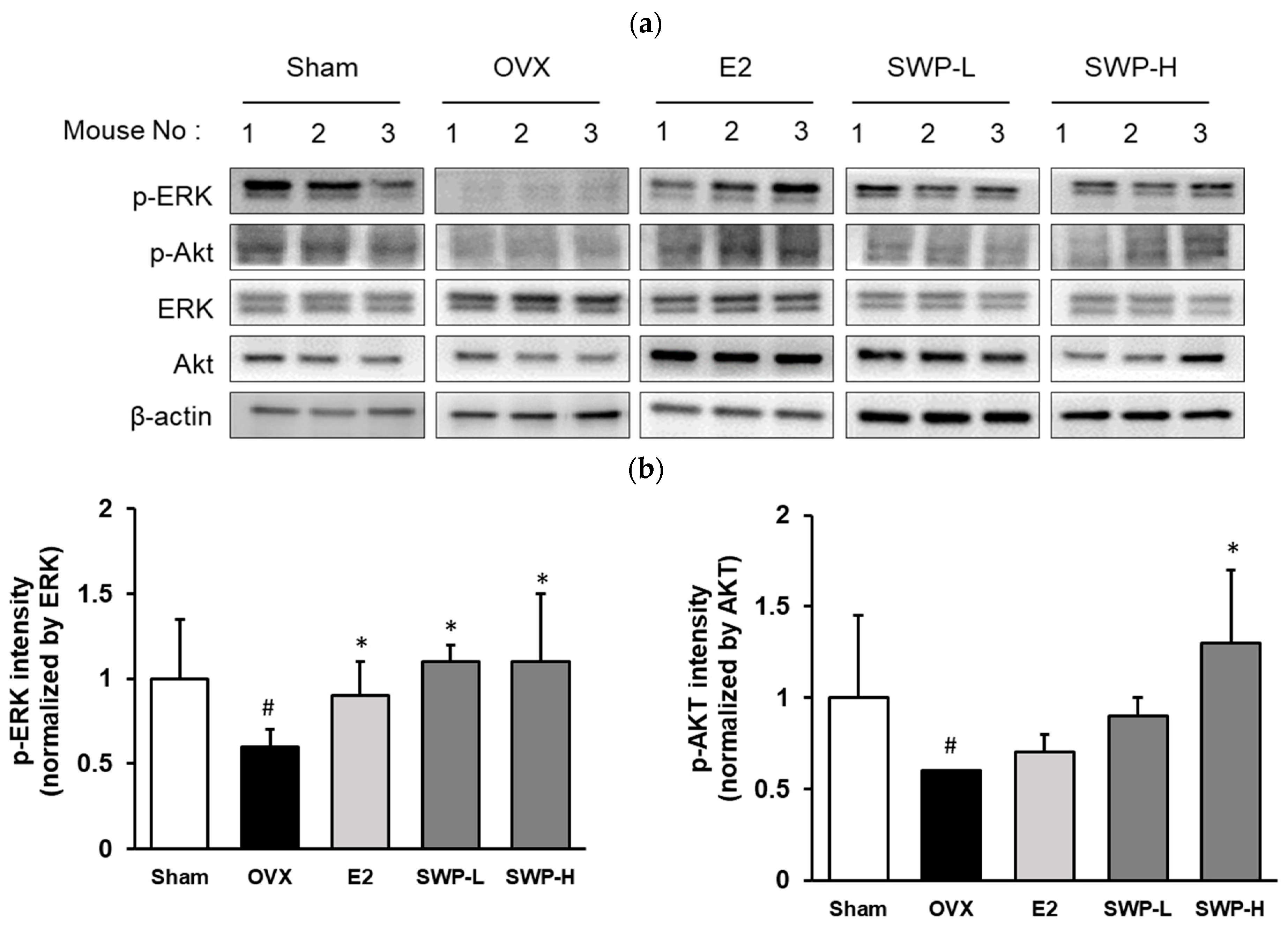 Nutrients 16 02164 g005