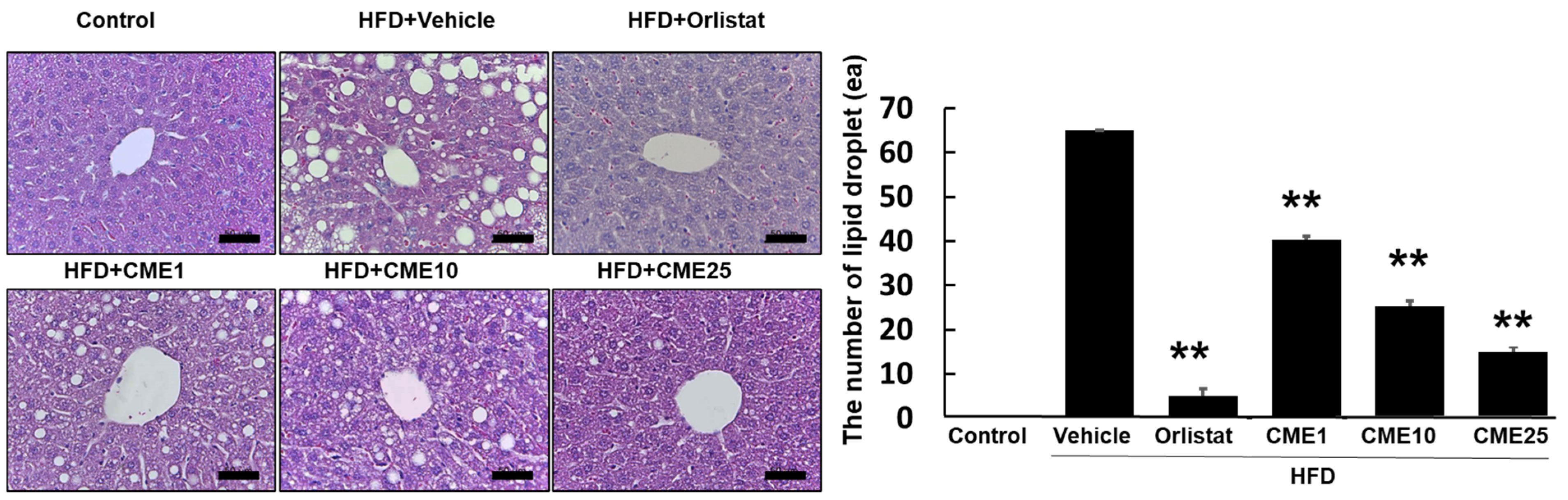 Nutrients 16 02171 g004