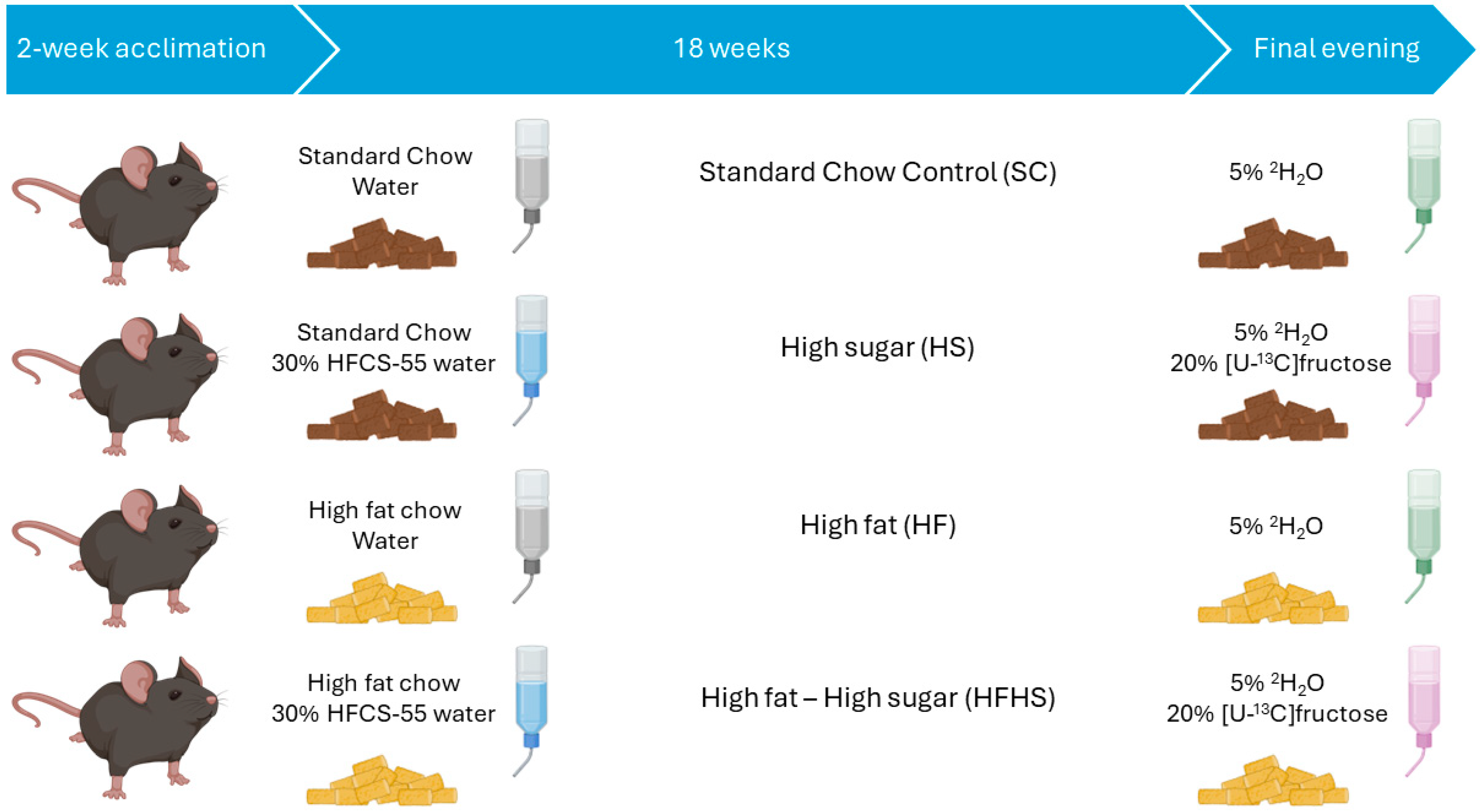 Nutrients 16 02186 g002 Nutrients 16 02186 g002