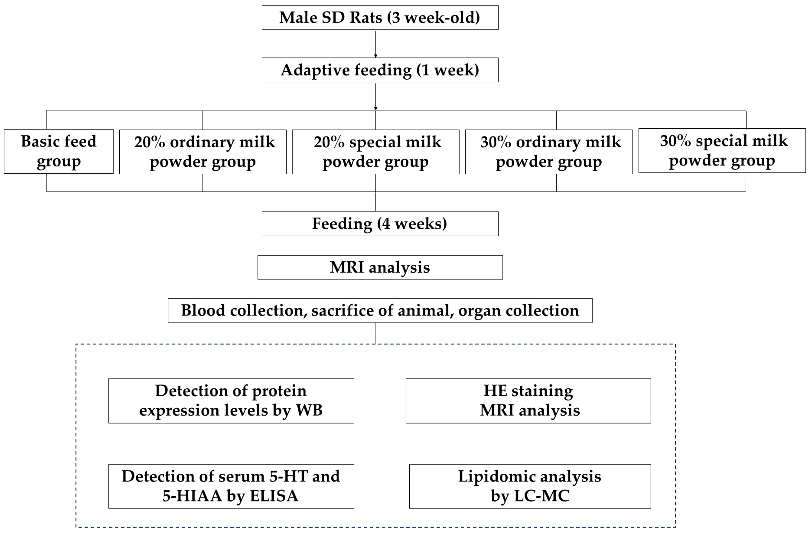 Nutrients 16 02188 g001
